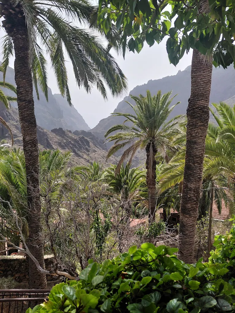 Volcano Tours in Los Cristianos photo 3