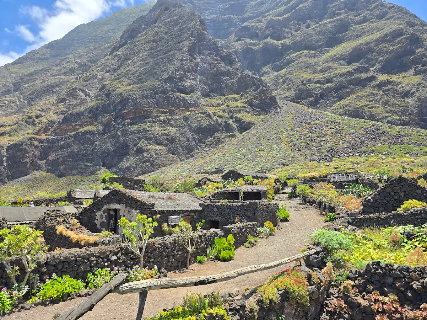 Volcano Tours in Valverde photo 4