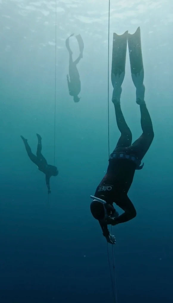 Freediving in Los Cristianos photo 3