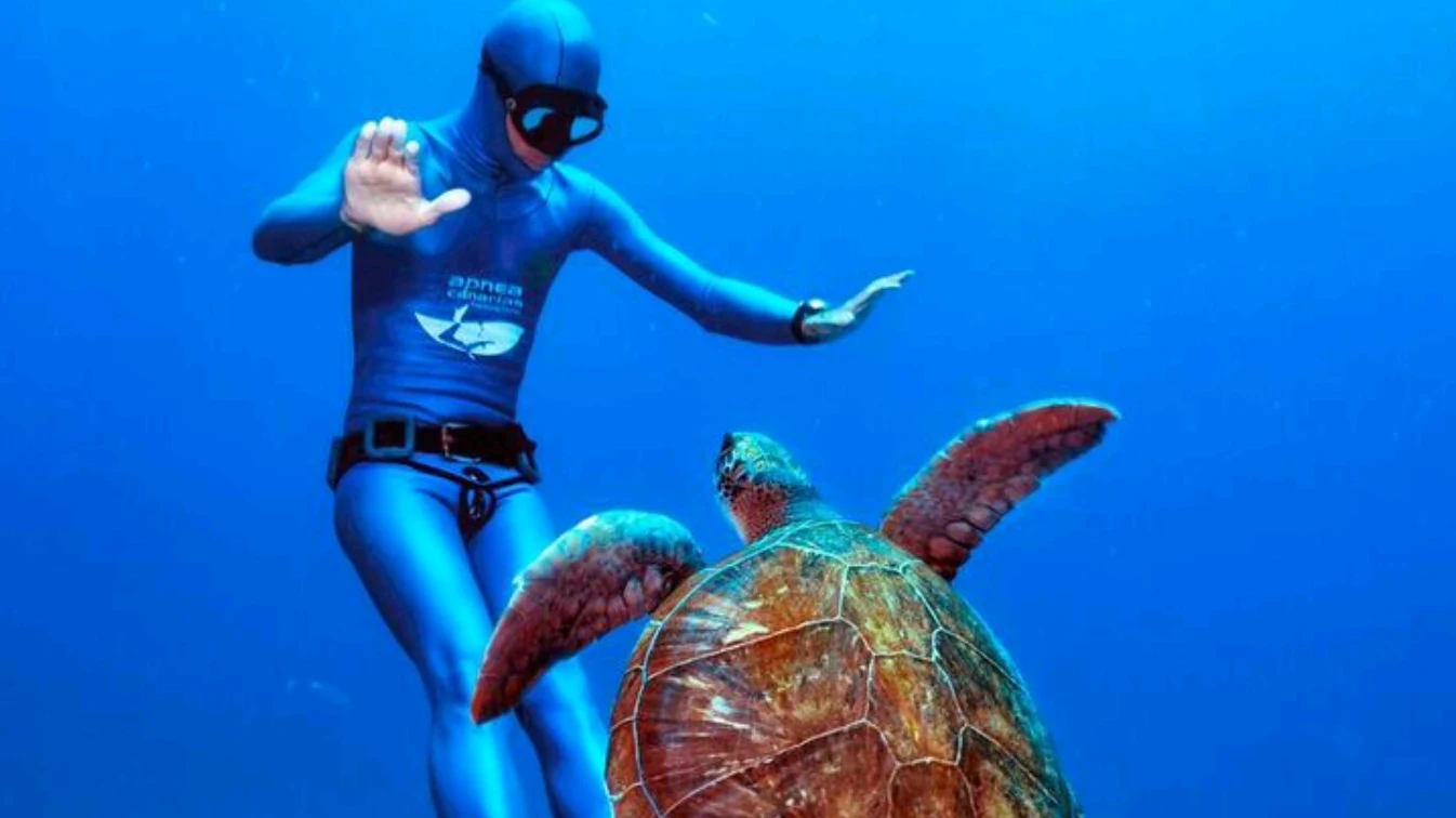 Freediving in Los Cristianos photo 4