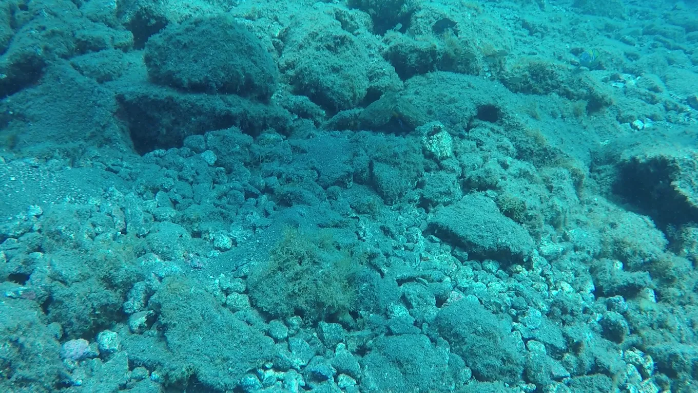 Scuba Courses in Puerto de la Cruz