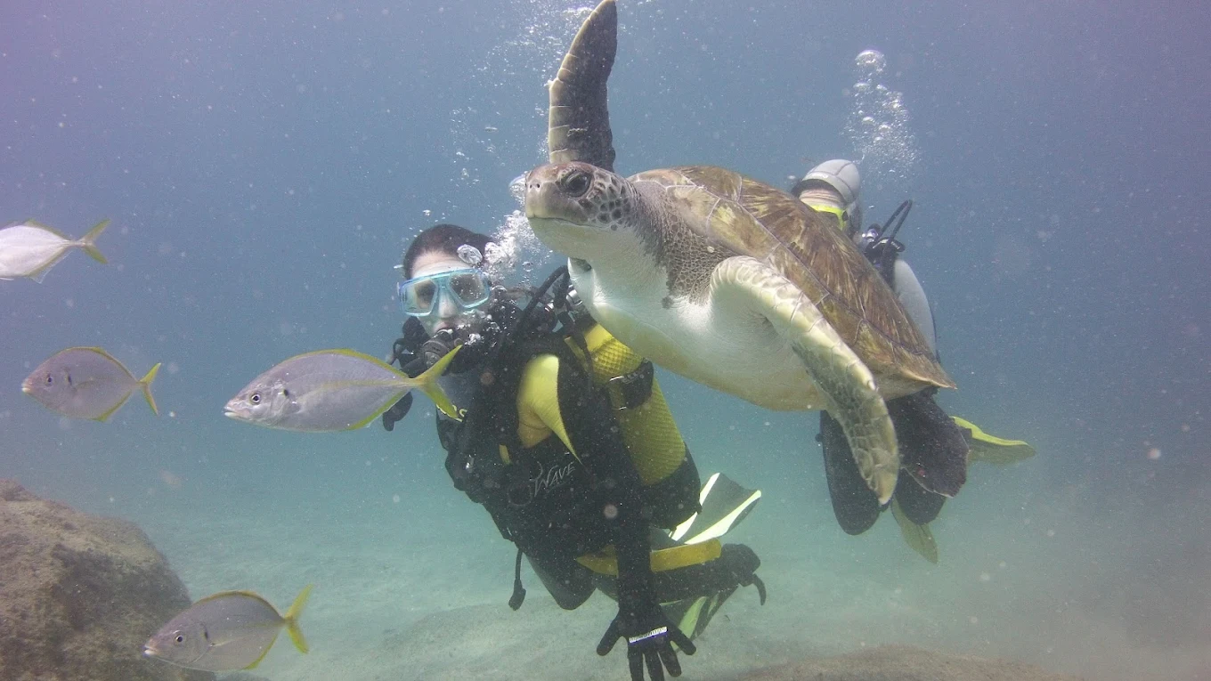 Scuba Courses in Puerto de la Cruz photo 5