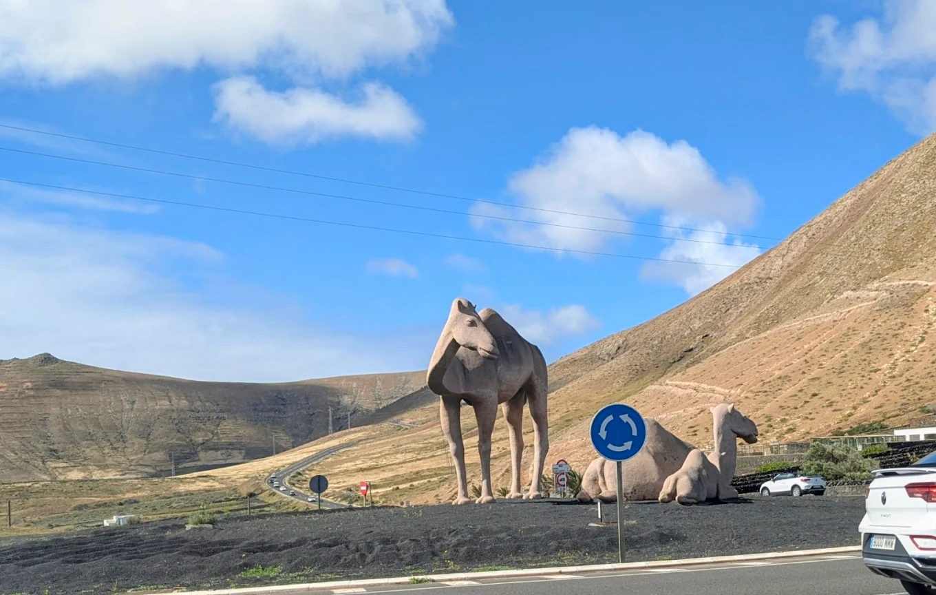Camel Riding in Teguise