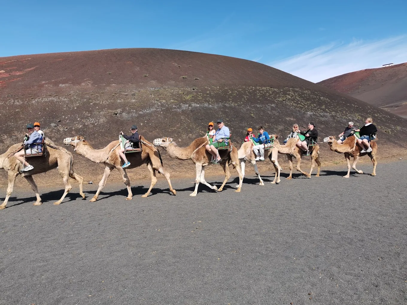 Camel Riding in Teguise photo 4