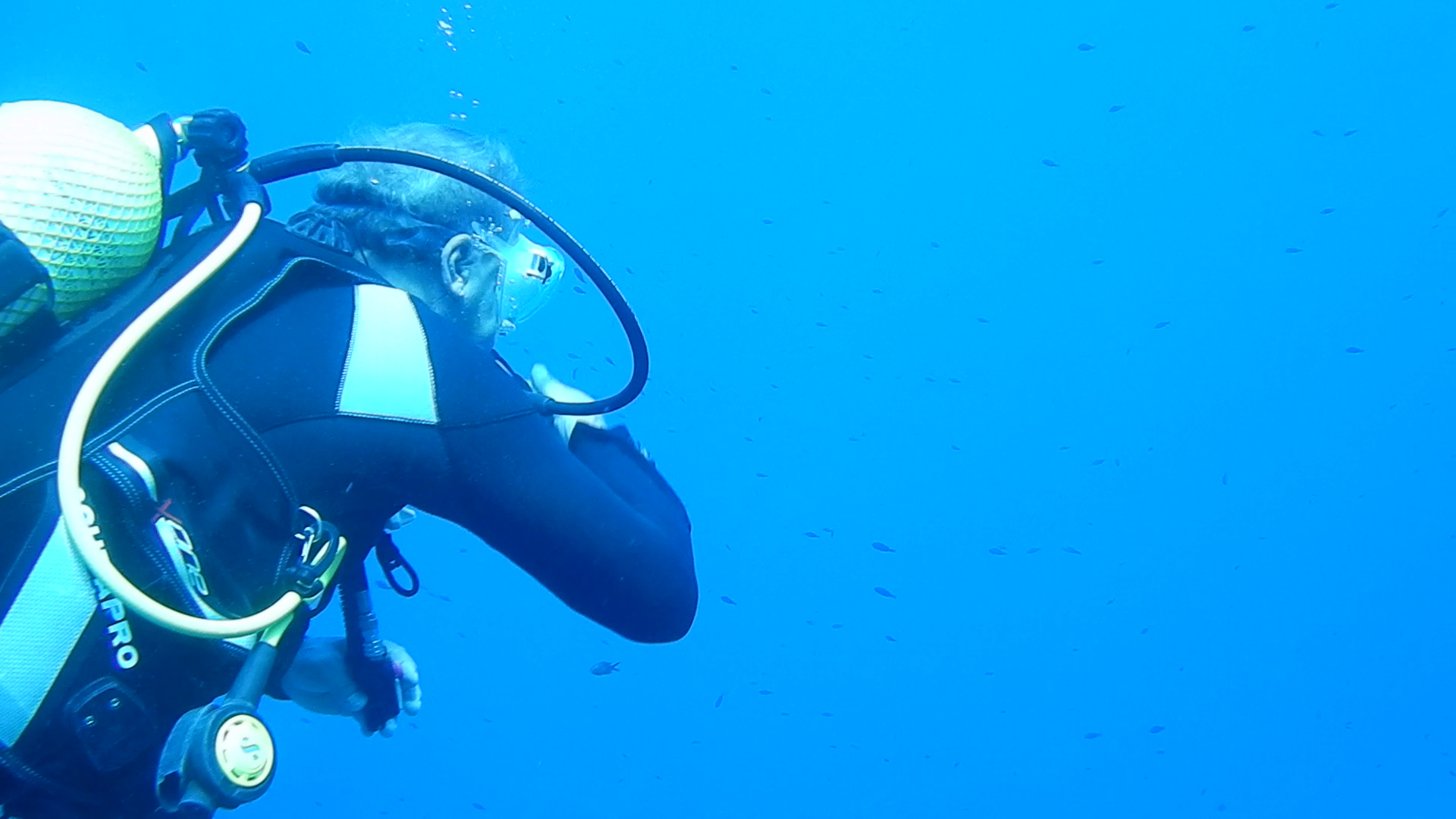 Scuba Courses in Cala Agulla photo 3