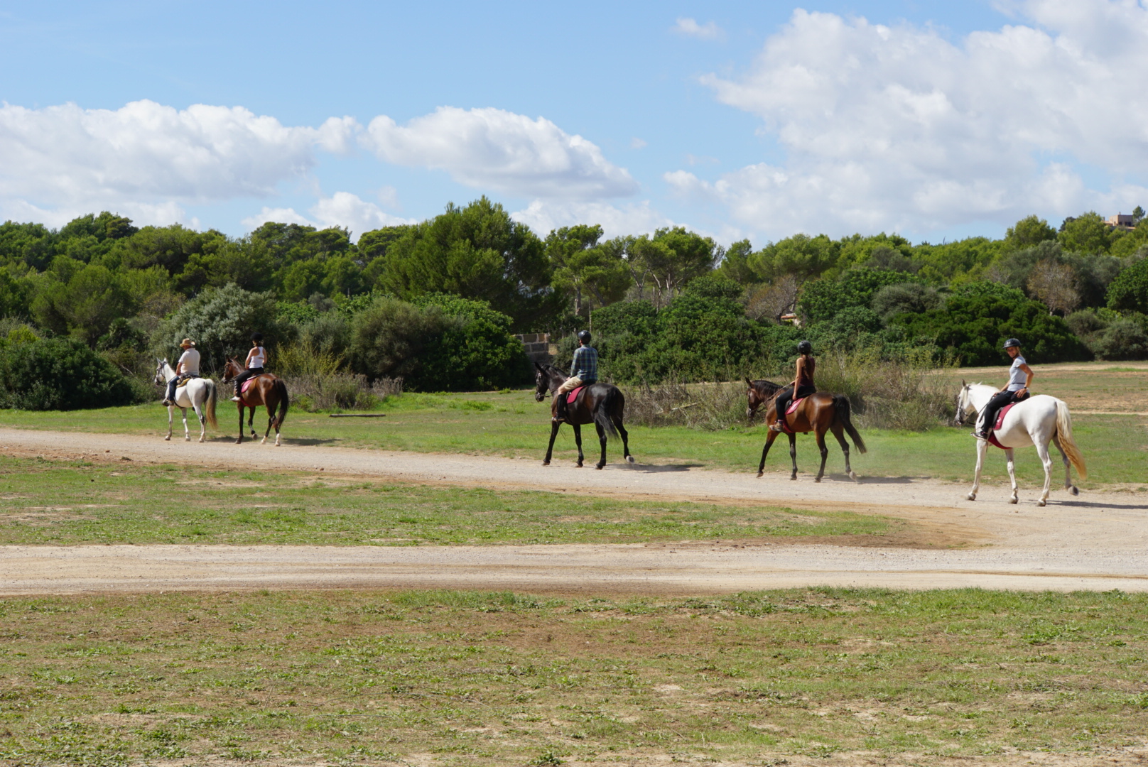 Horseback Riding in Cala Agulla photo 4