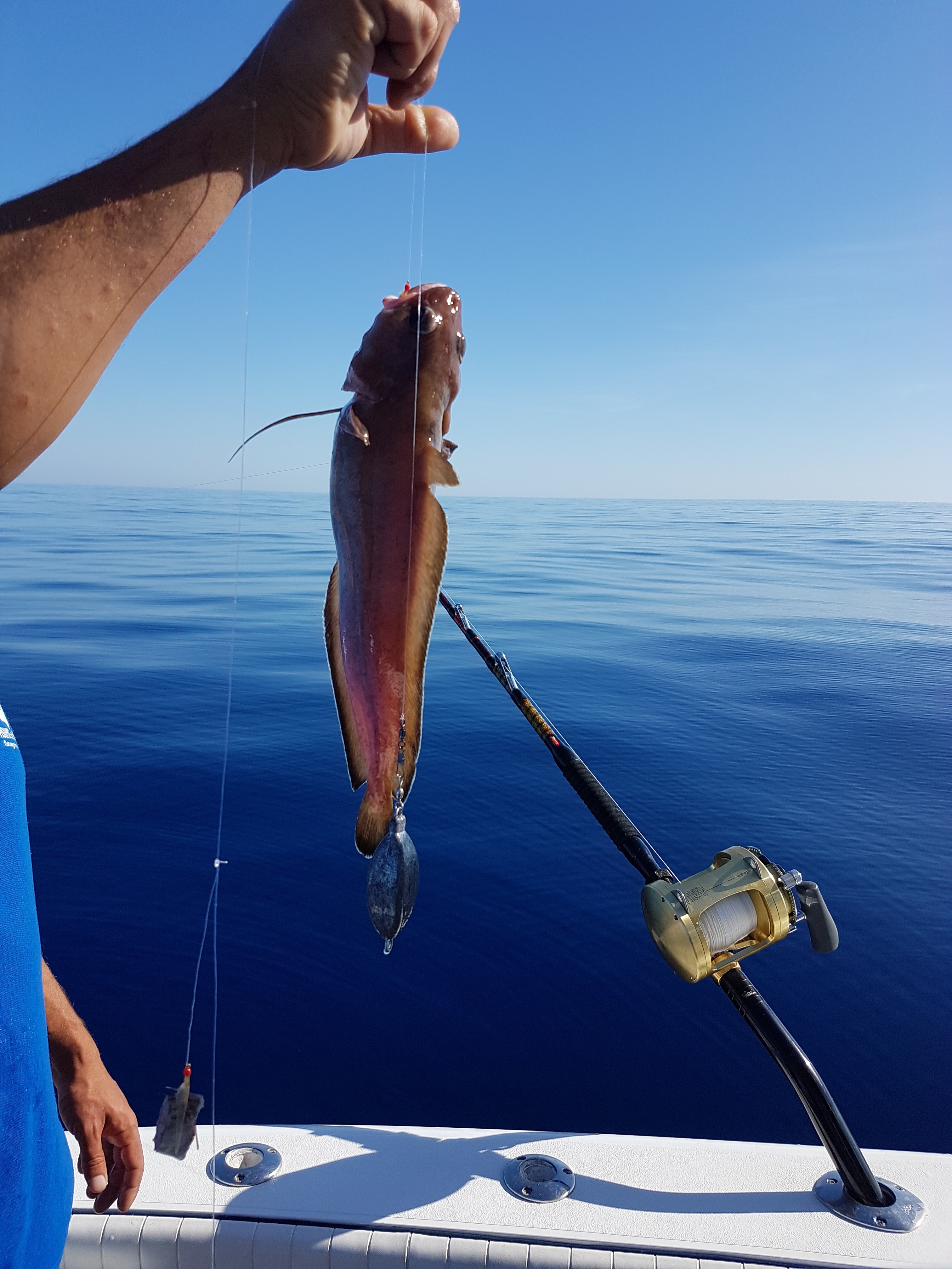 Fishing Charter in Cala Blava photo 4