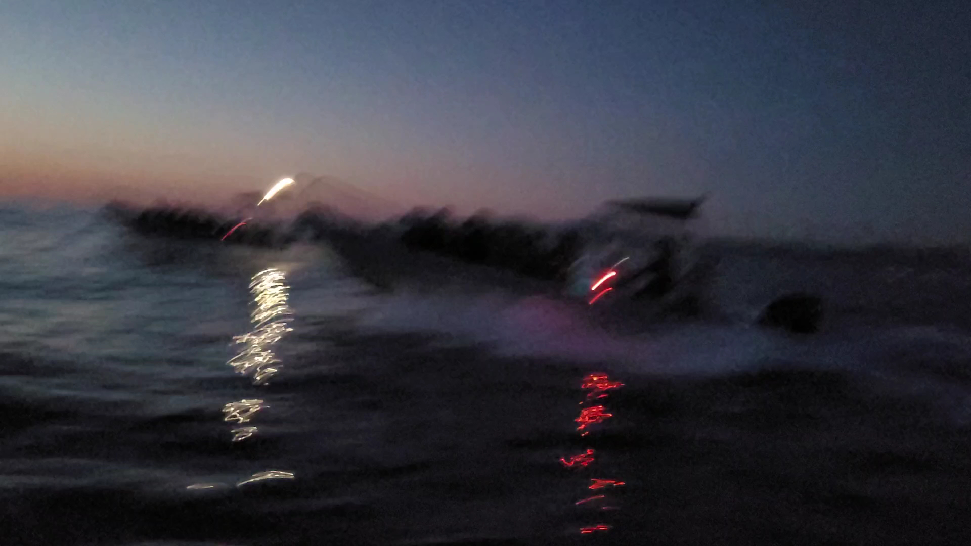 Dolphin Watching in Alcúdia photo 3