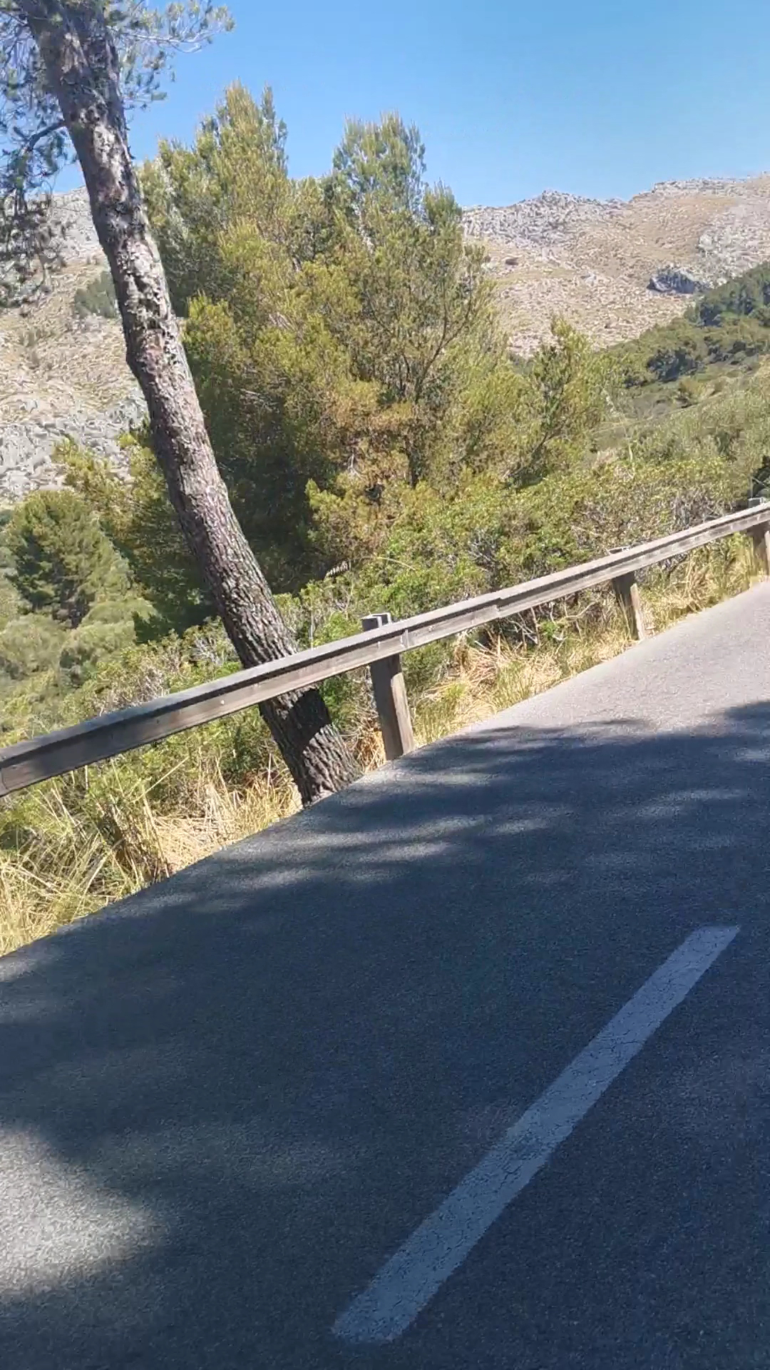 Mountain Bike Rental in Alcúdia photo 3