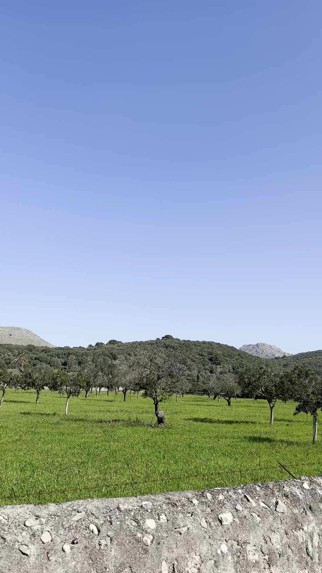 Off-Road Adventures in Alcúdia photo 3