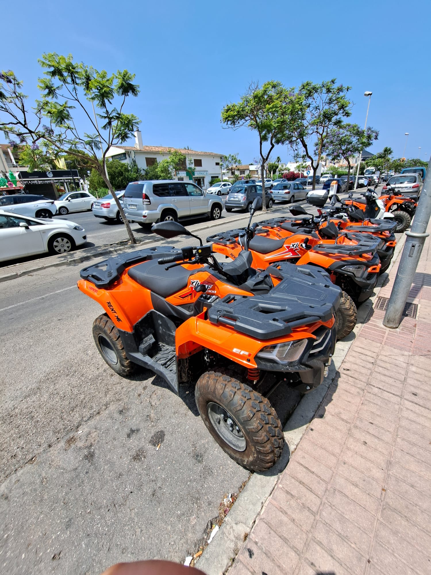 Off-Road Adventures in Alcúdia photo 5