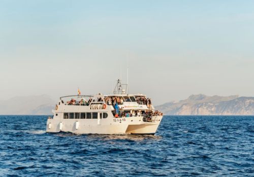 Whale Watching in Cala Agulla photo 4