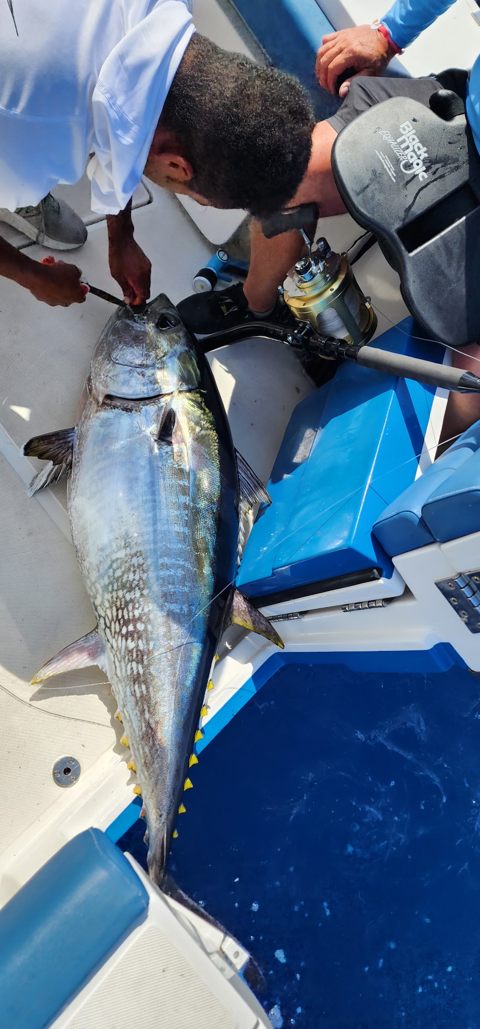 Fishing Charter in Cala Mesquida photo 2