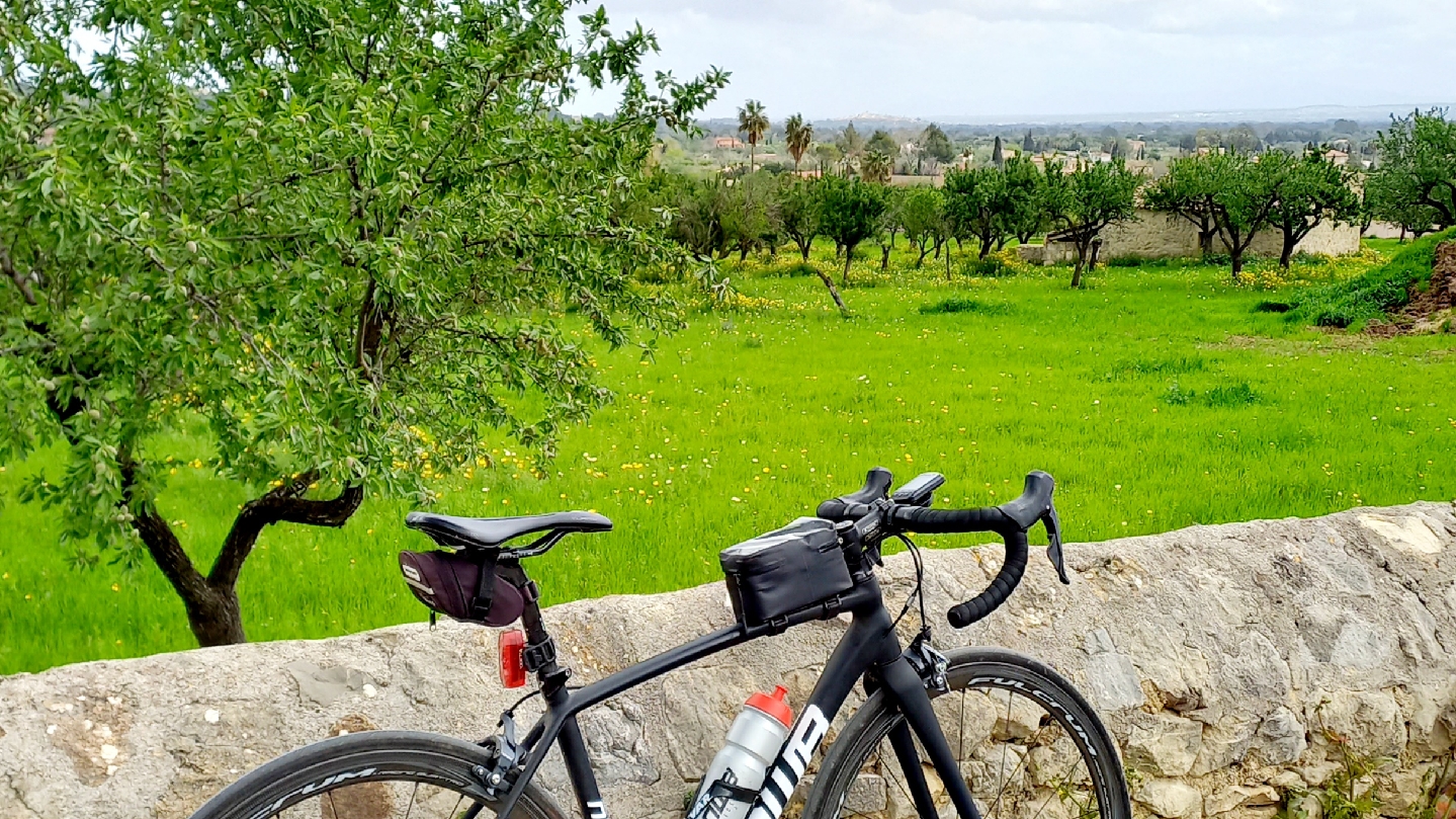 Mountain Bike Rental in Port d'Alcúdia photo 4