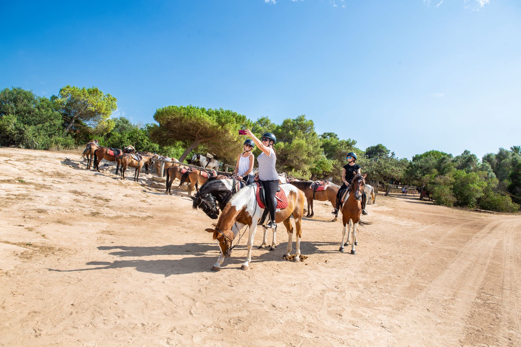 Horseback Riding in Alcúdia photo 2