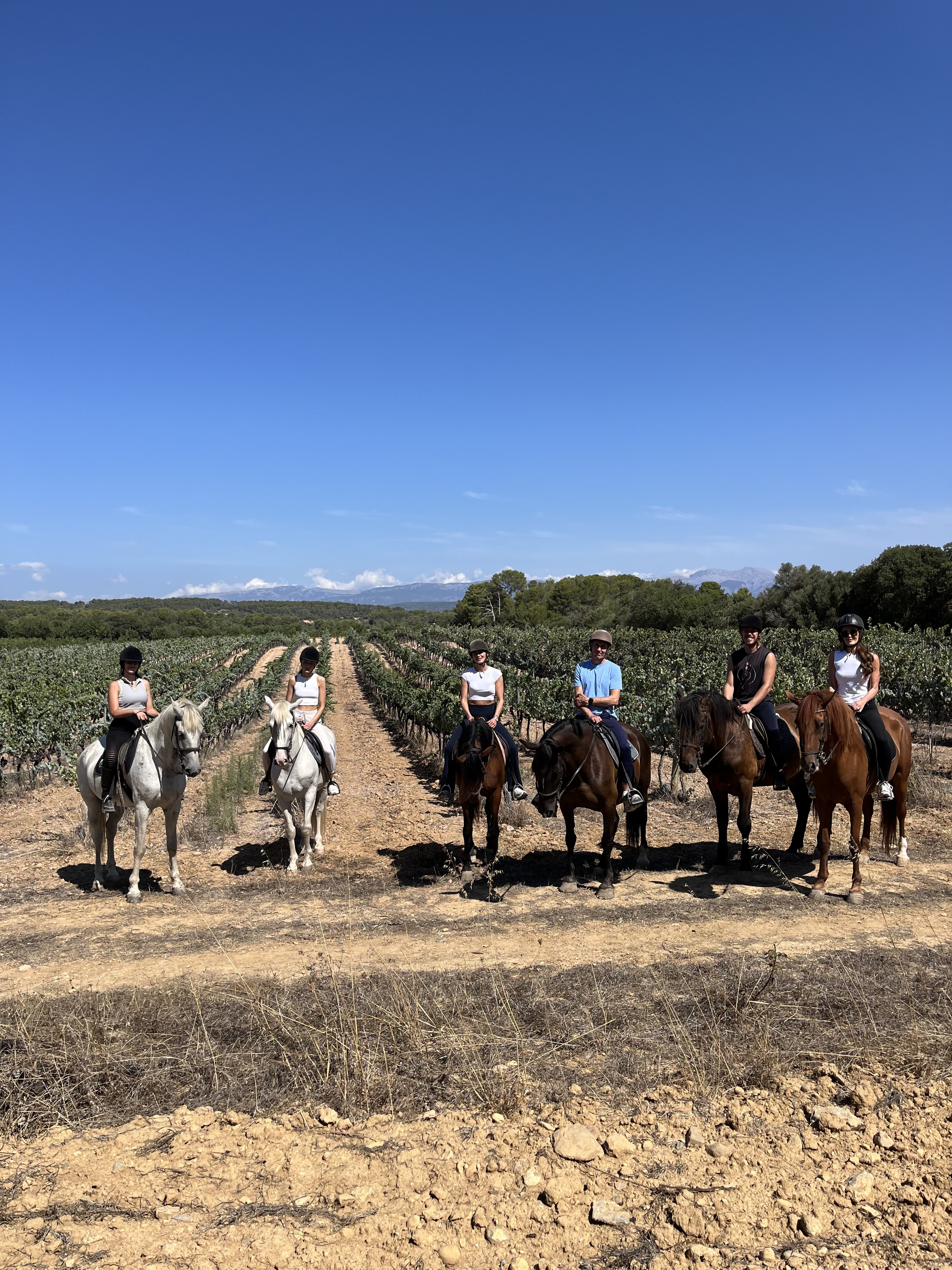 Horseback Riding in Alcúdia photo 5
