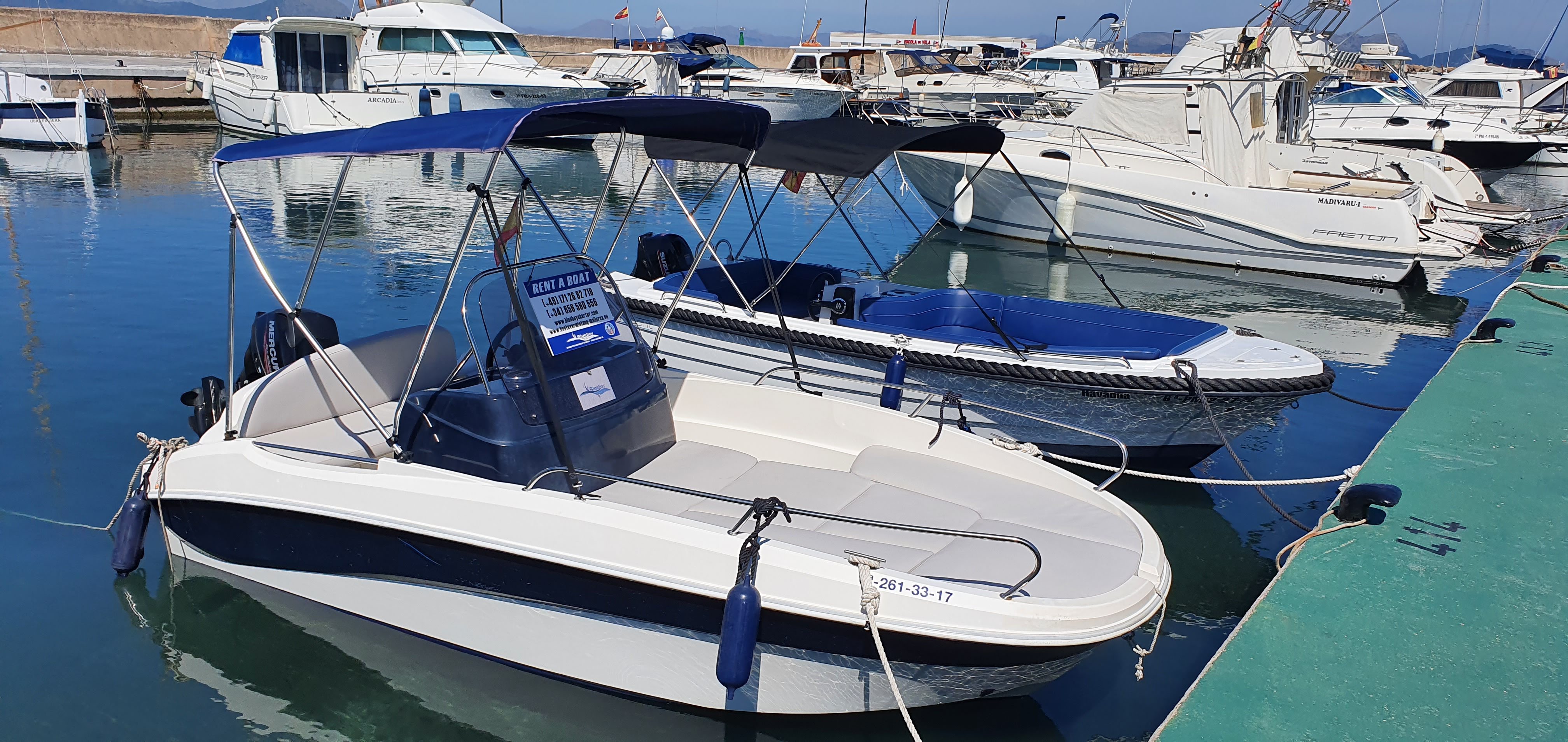 Glass Bottom Boat in Can Picafort photo 4