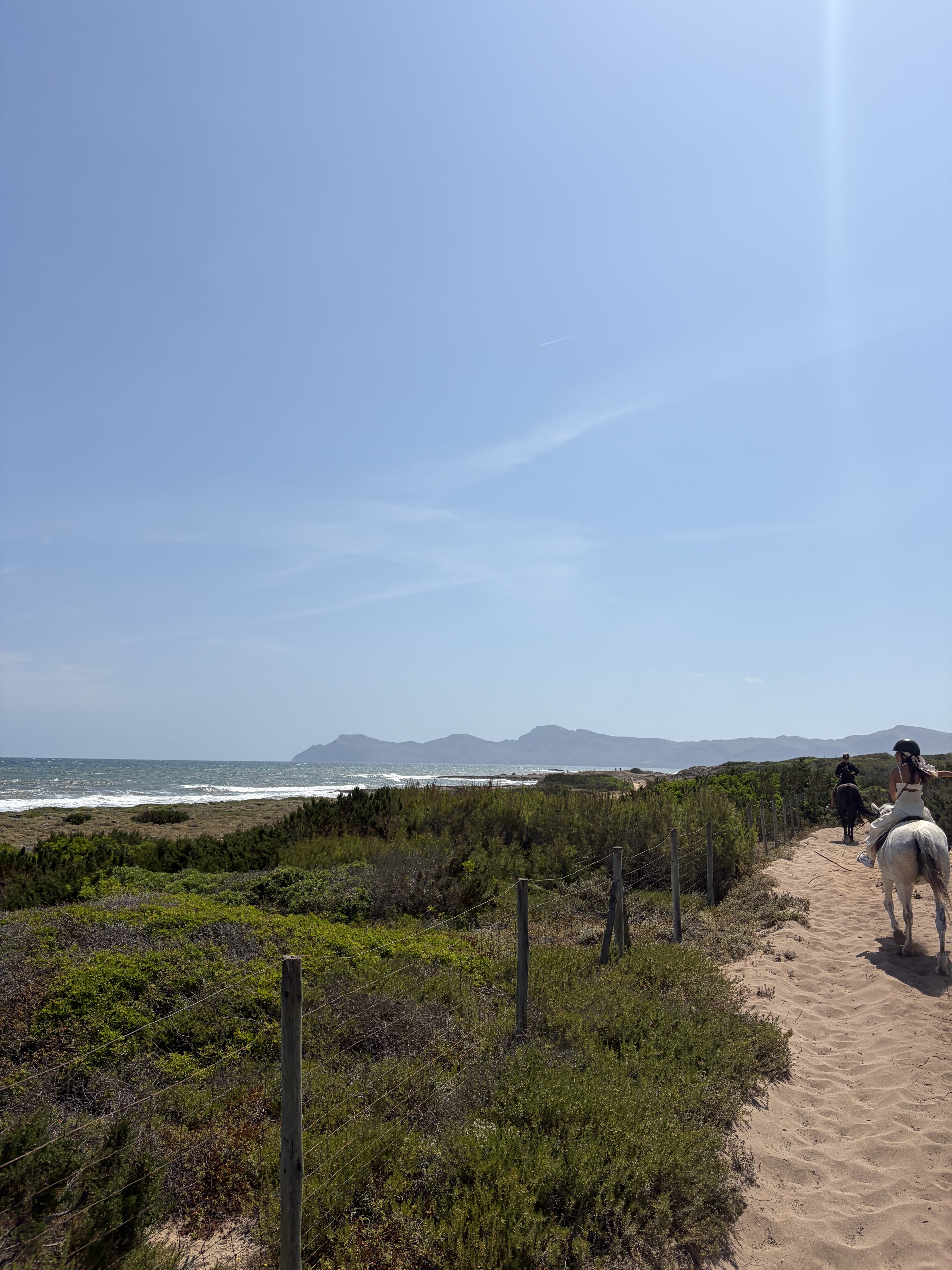 Horseback Riding in Can Picafort photo 2