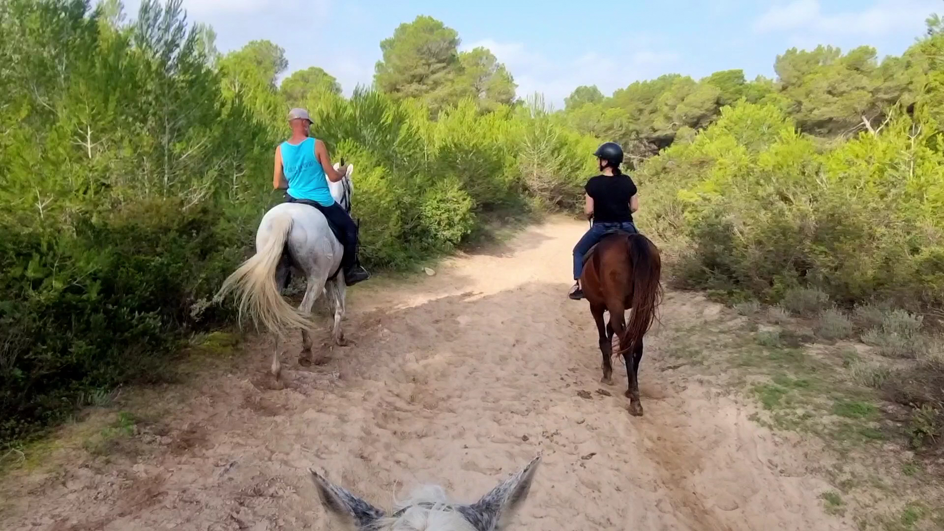 Horseback Riding in Can Picafort photo 4