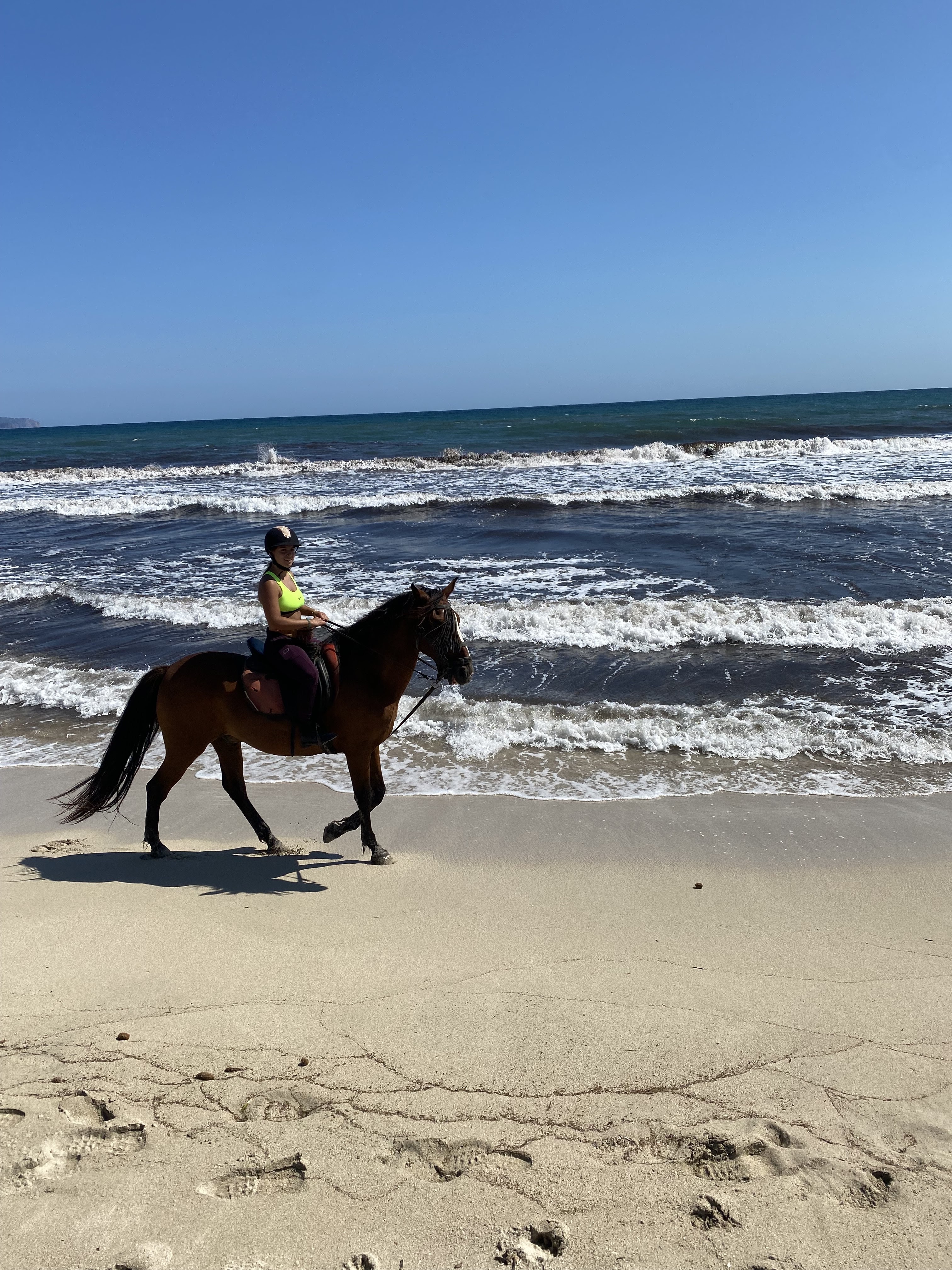 Horseback Riding in Can Picafort photo 5