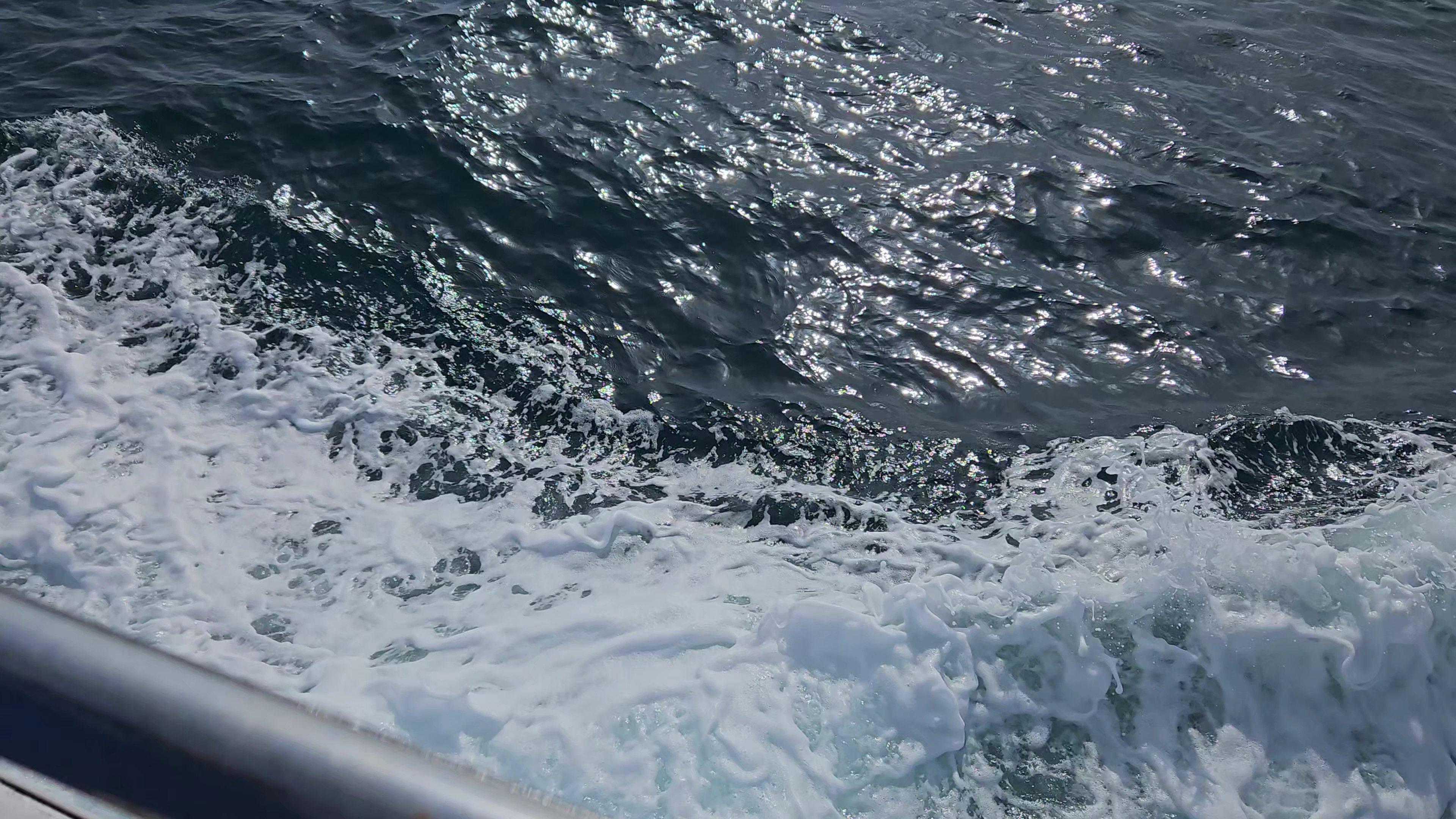 Dolphin Watching in Can Picafort photo 3