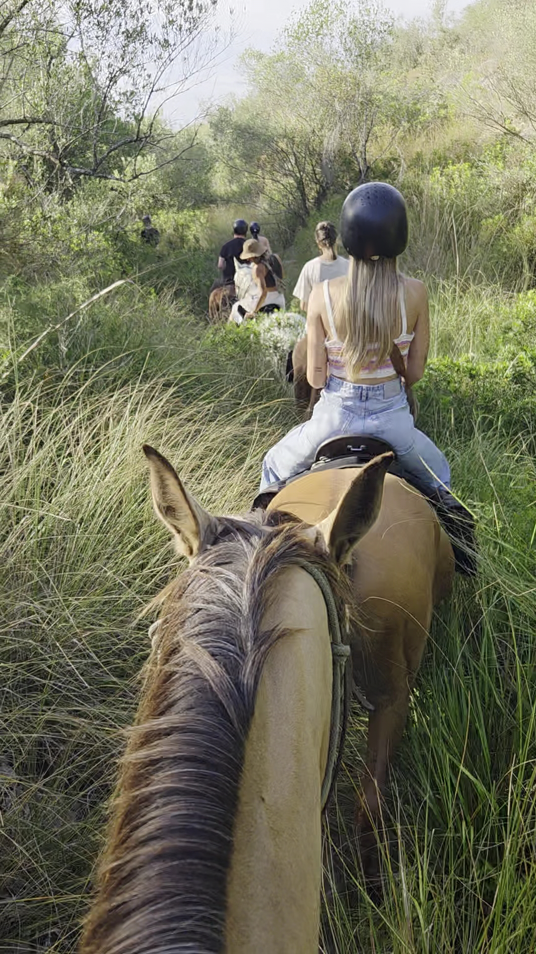 Horseback Riding in Camp de Mar photo 2