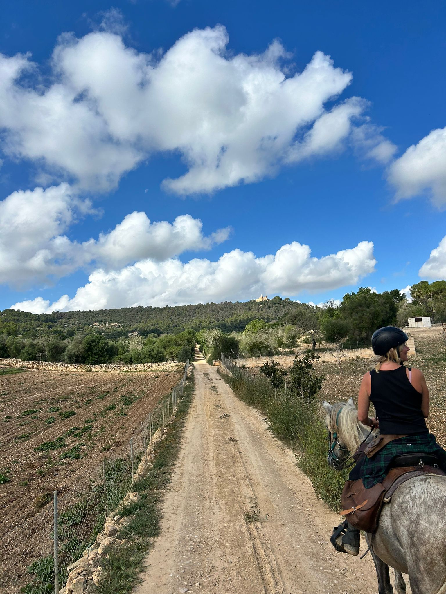 Horseback Riding in Camp de Mar photo 4