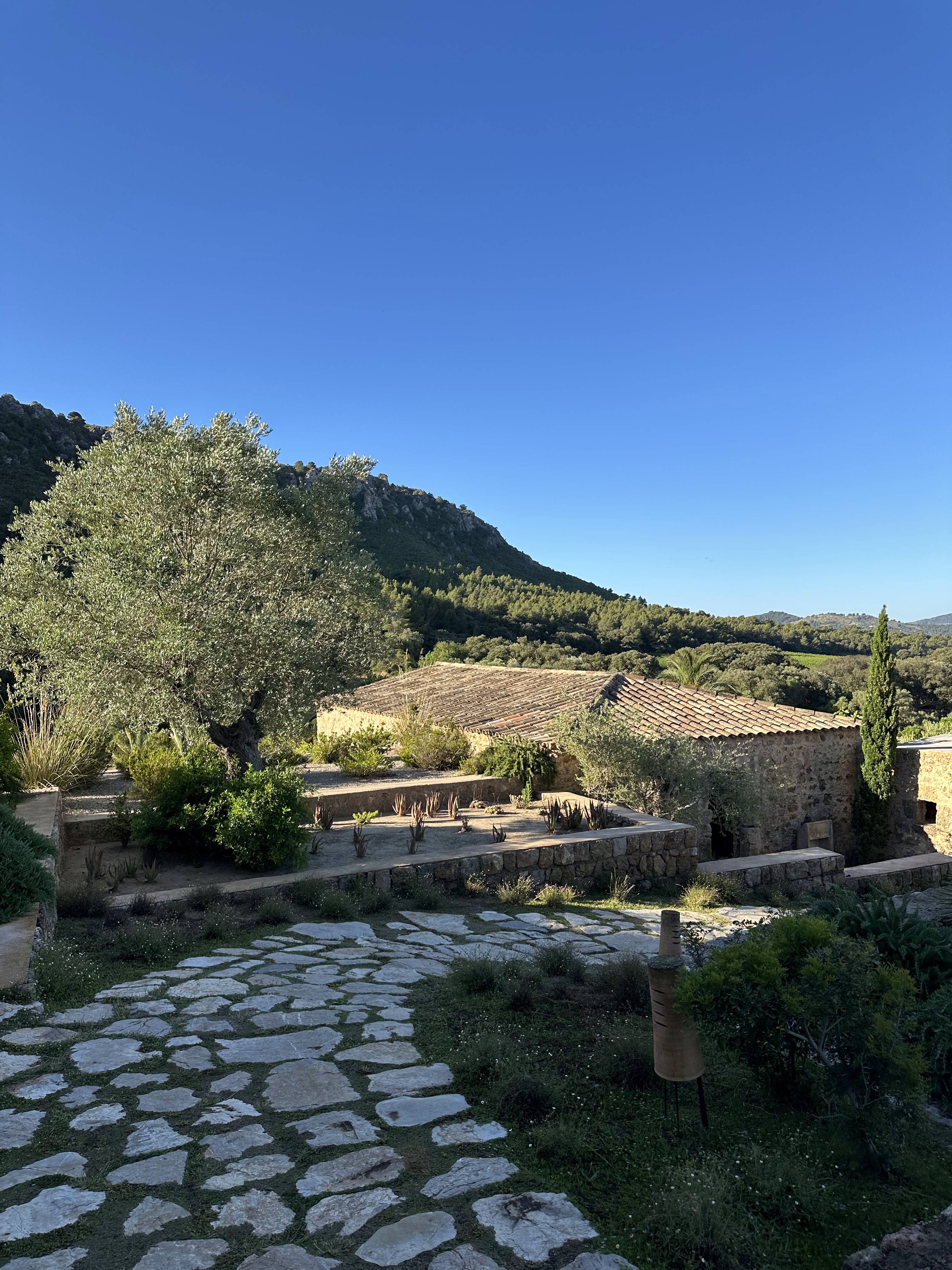 Wellness Retreat in Colònia de Sant Pere photo 2