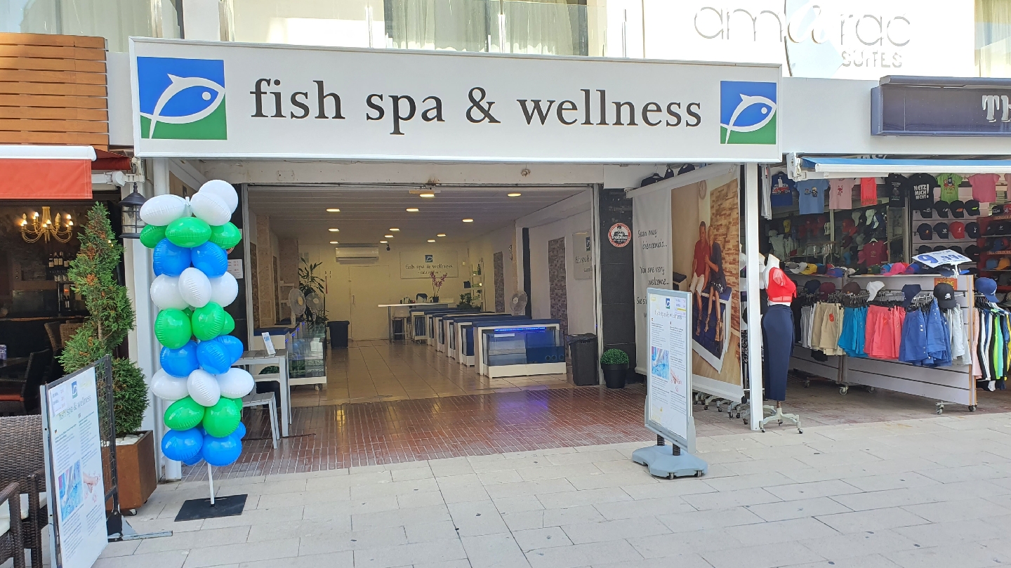 Wellness Retreat in Cala Millor photo 4