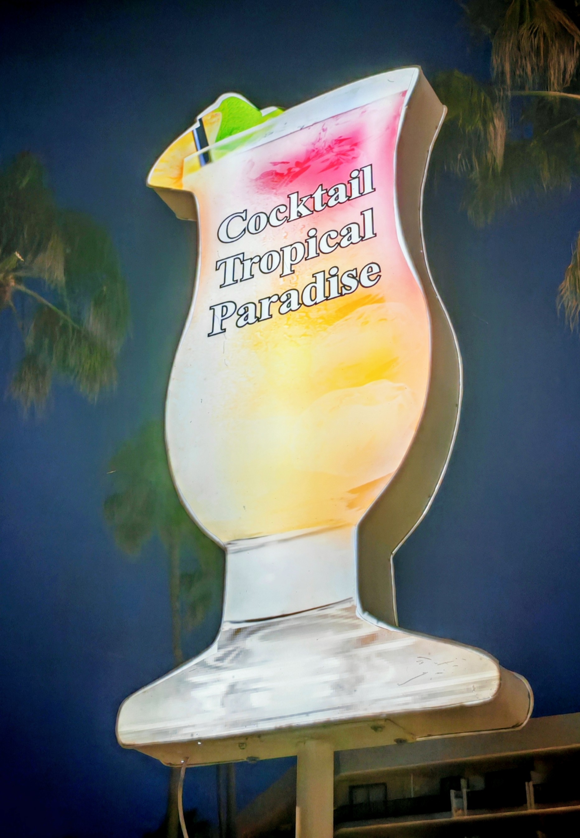 Cocktail Masterclass in Cala Bona photo 5