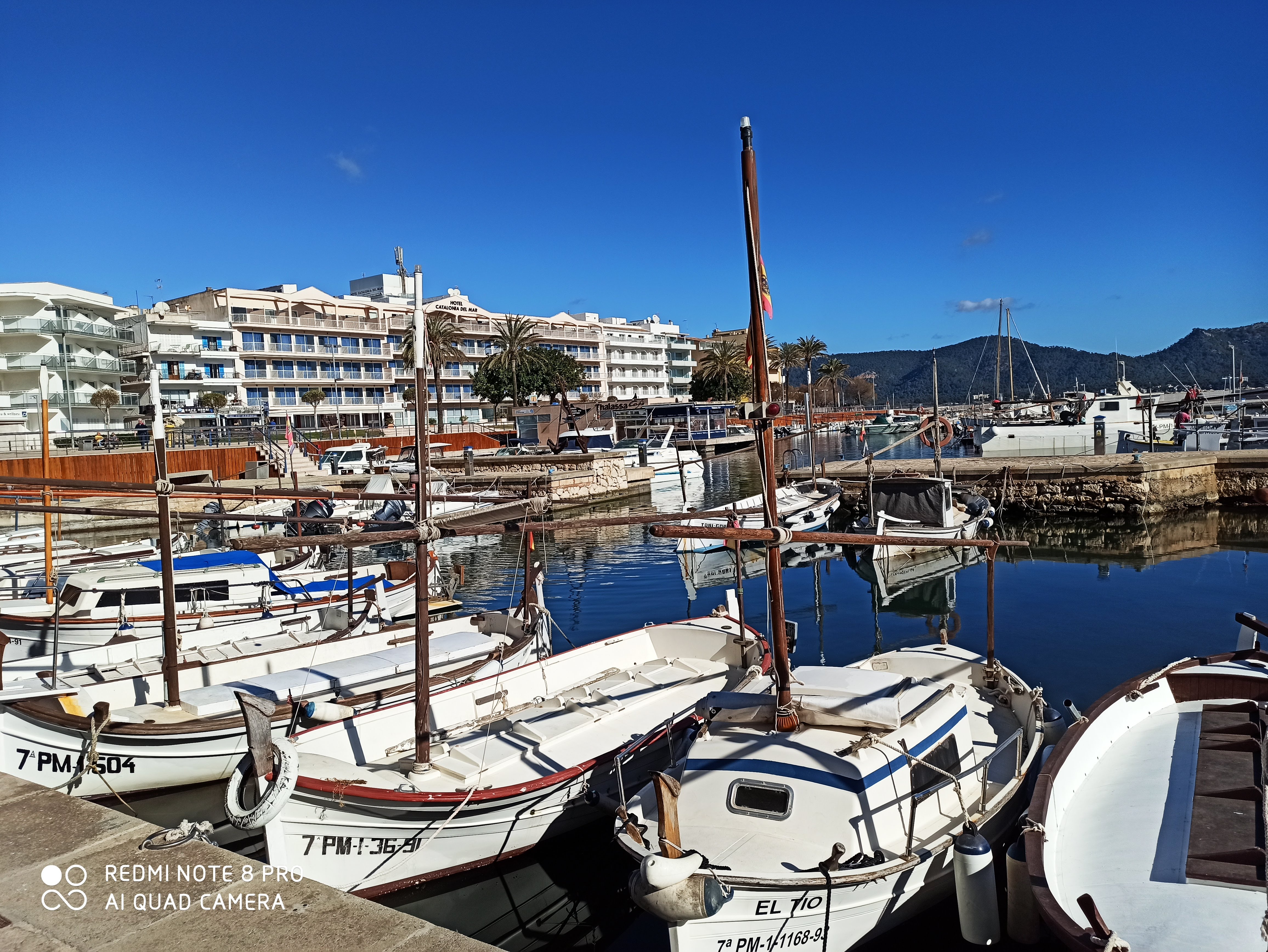 Sailing Excursion in Cala Bona photo 5