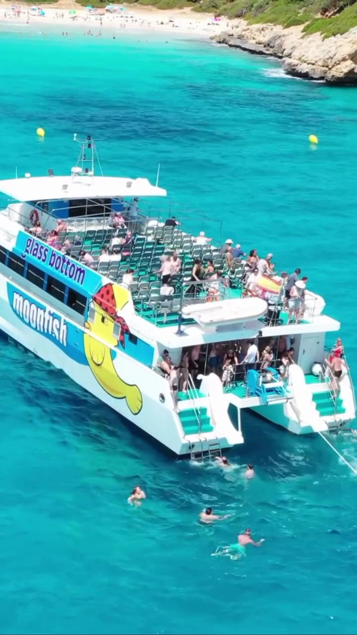 Dolphin Watching in Cala Millor photo 5