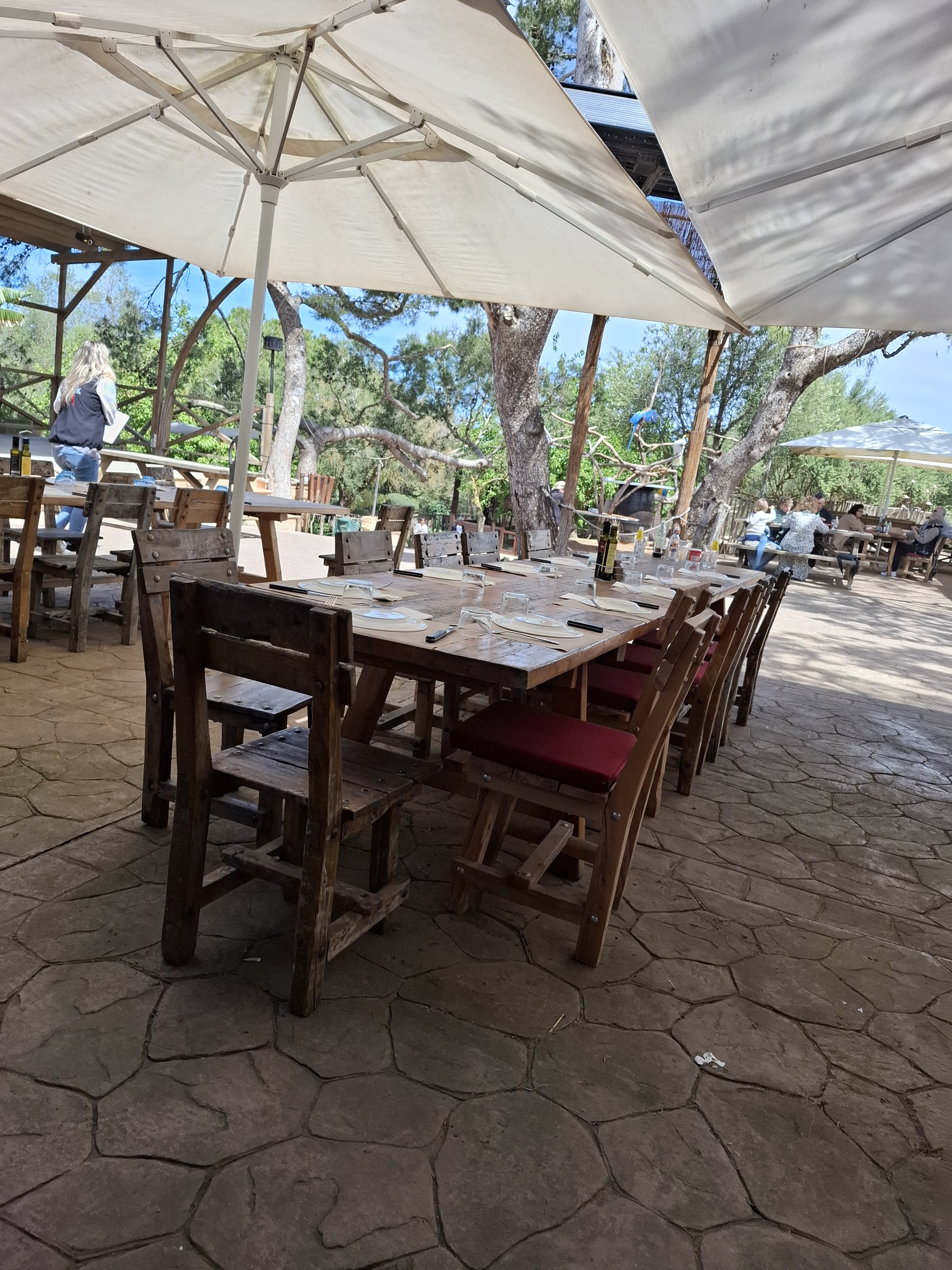 Jeep Safari in Cala Pi photo 4