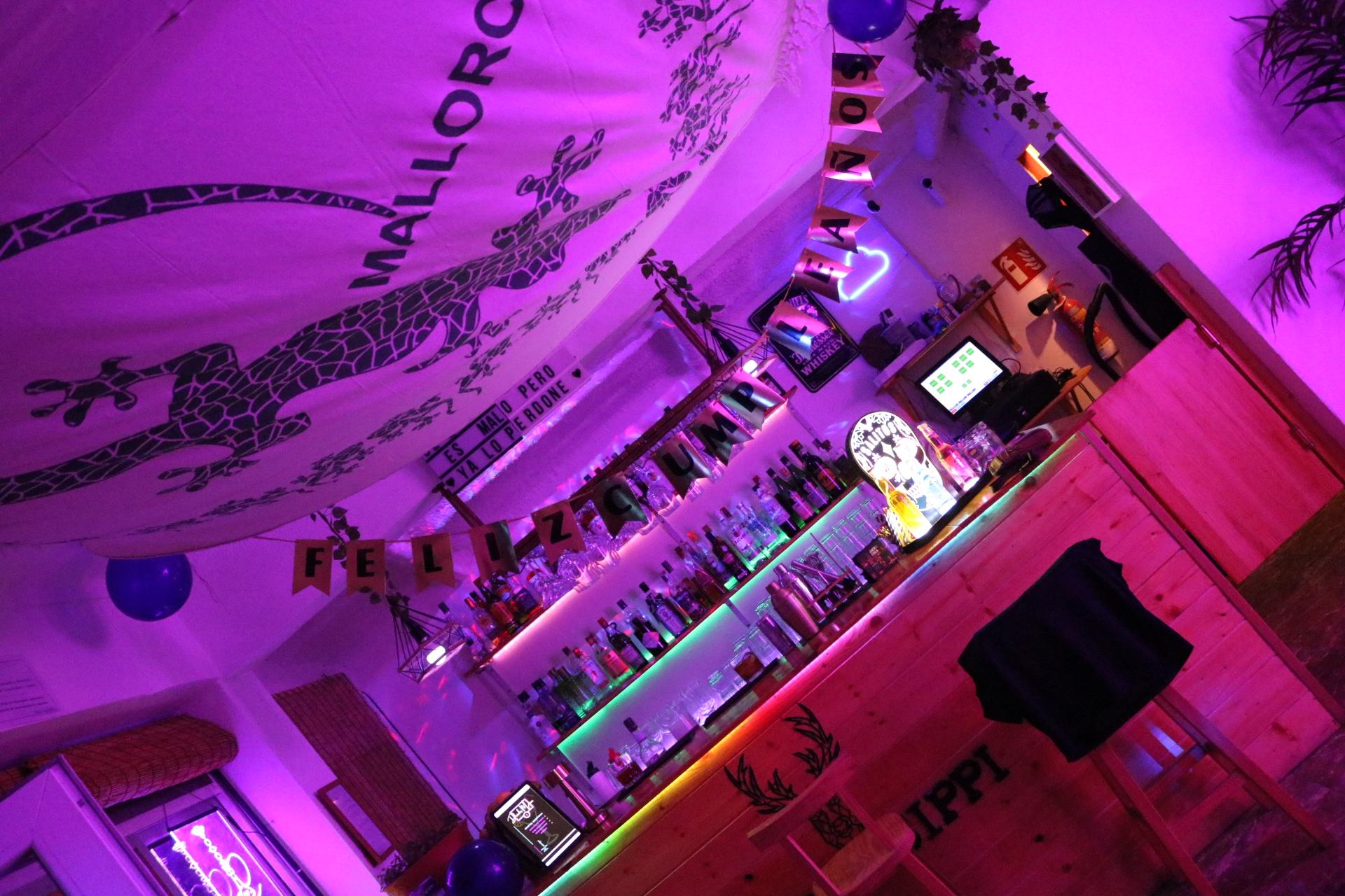 Cocktail Masterclass in Cala Millor