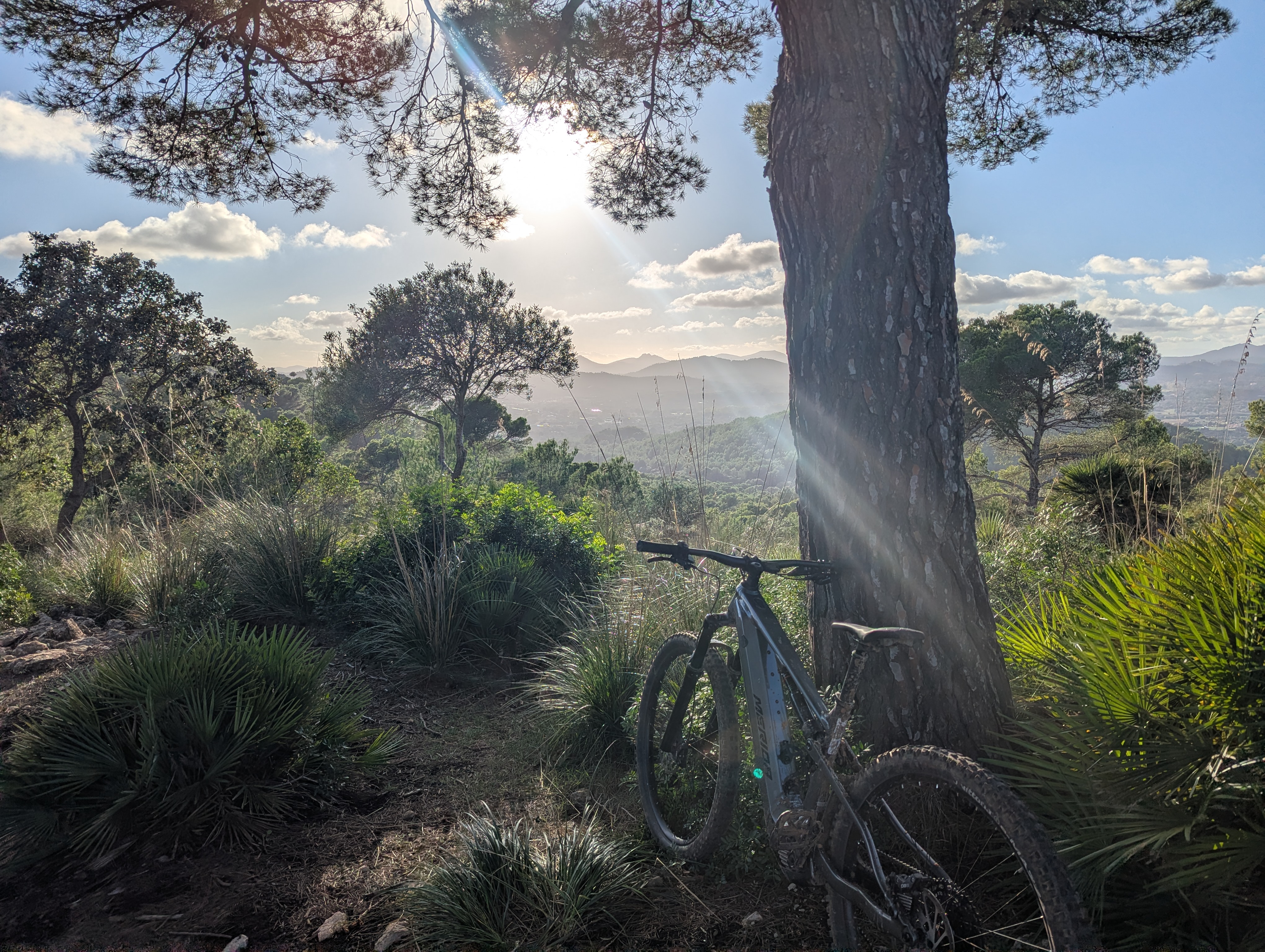 Hiking Tours in Cala Millor