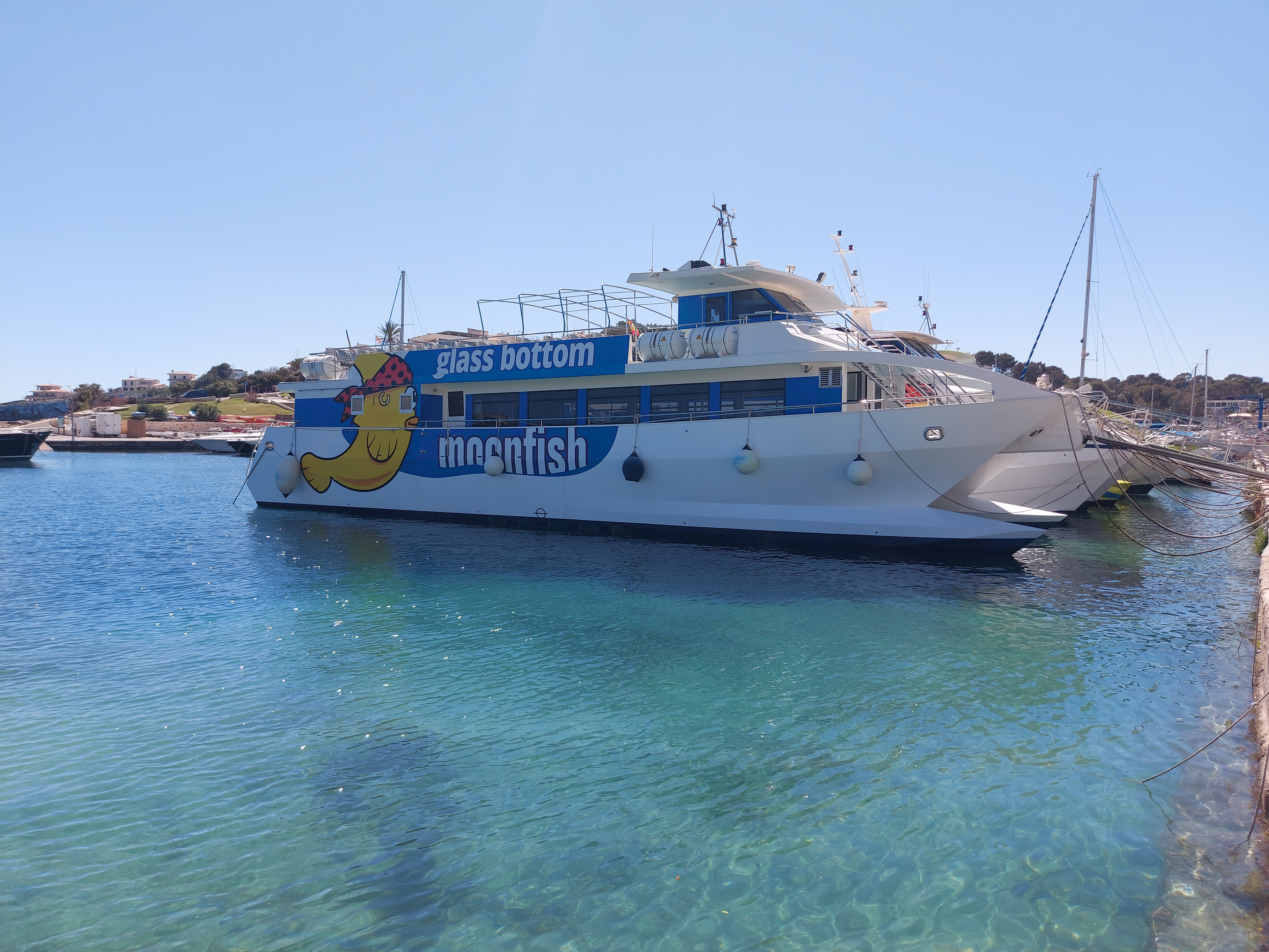 Glass Bottom Boat in Cala Mesquida photo 5