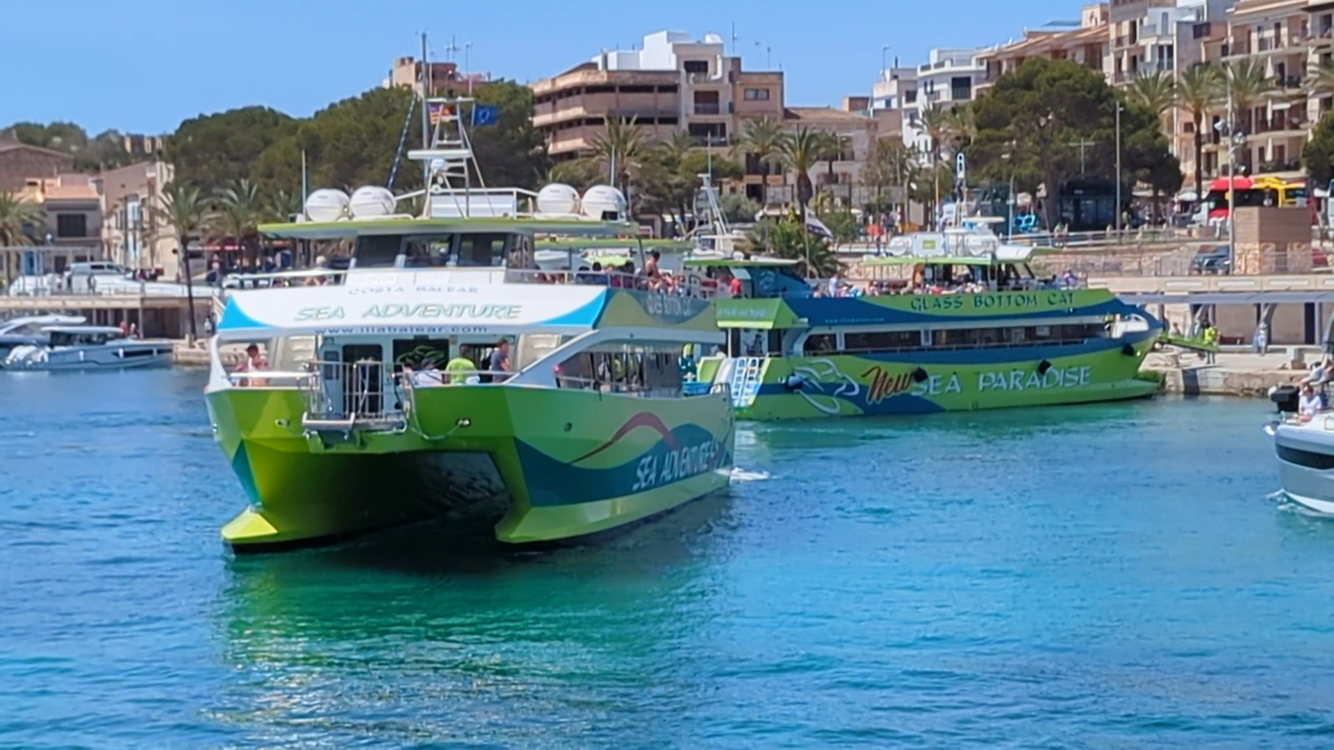 Dolphin Watching in Porto Cristo photo 3