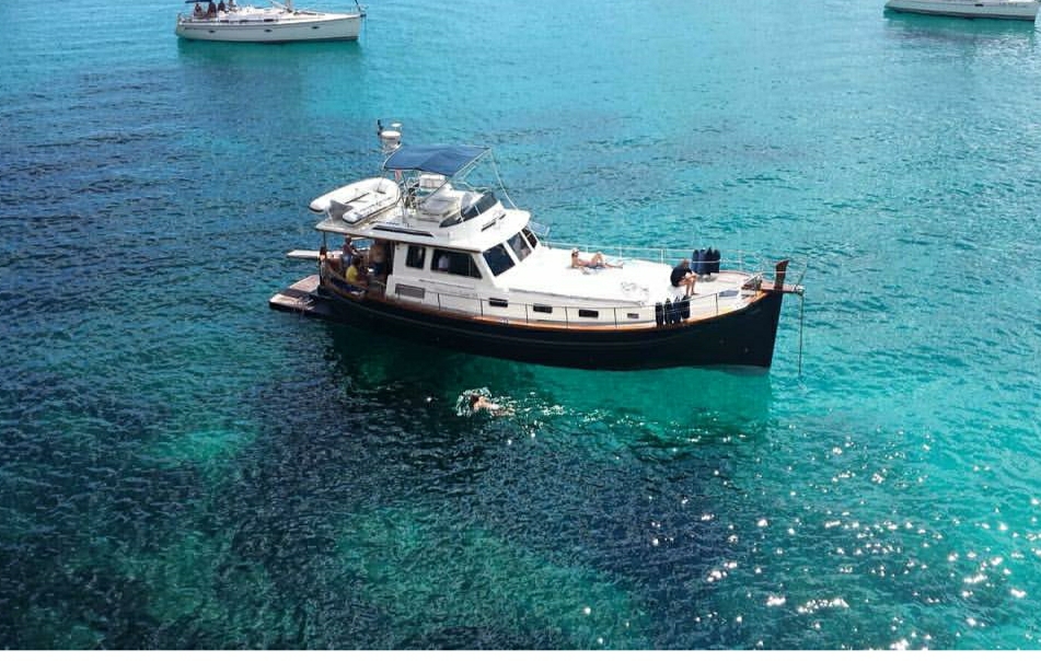 Dolphin Watching in Porto Cristo photo 4