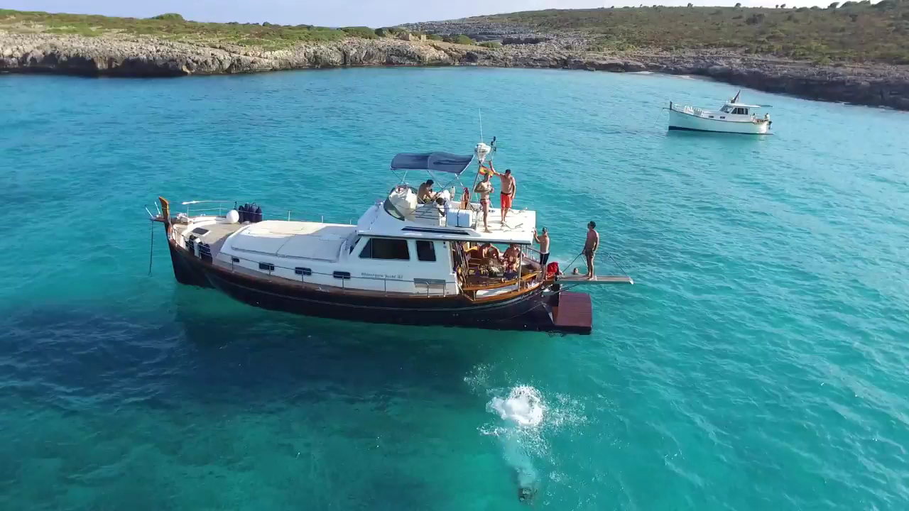 Dolphin Watching in Porto Cristo photo 5