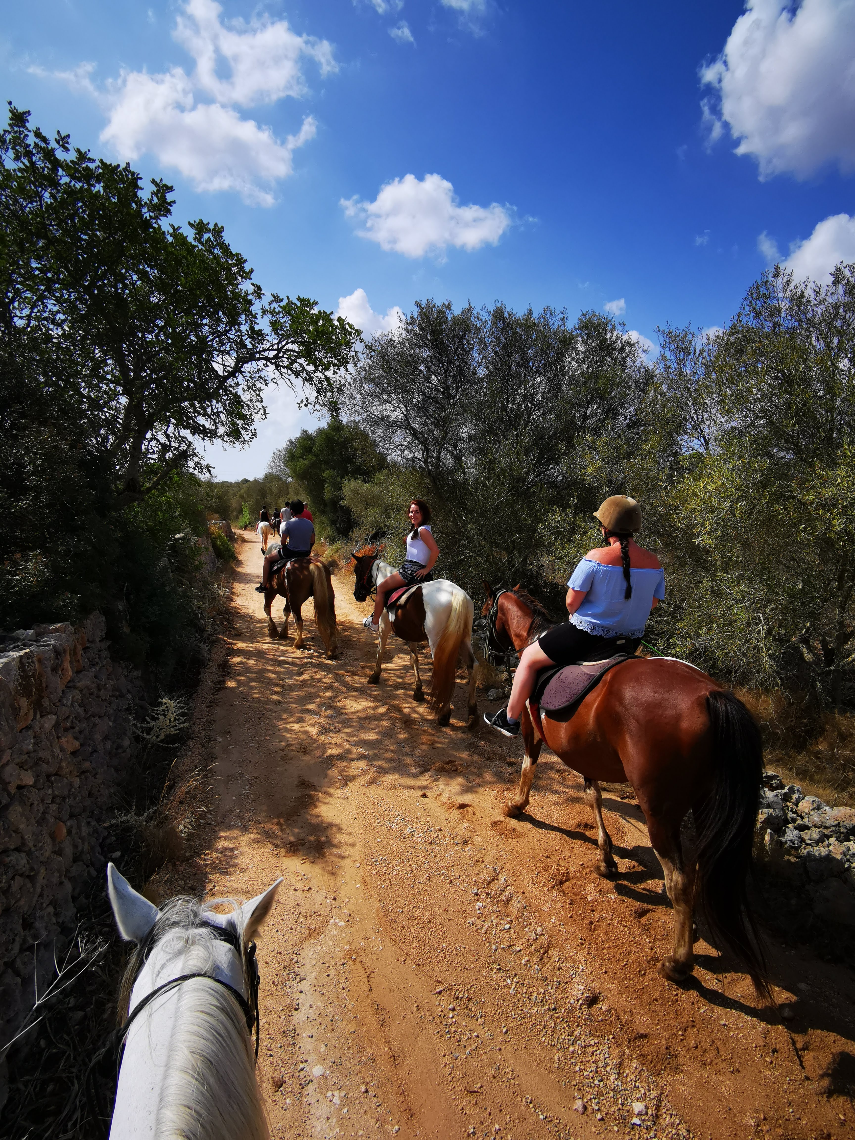 Horseback Riding in Porto Cristo photo 4