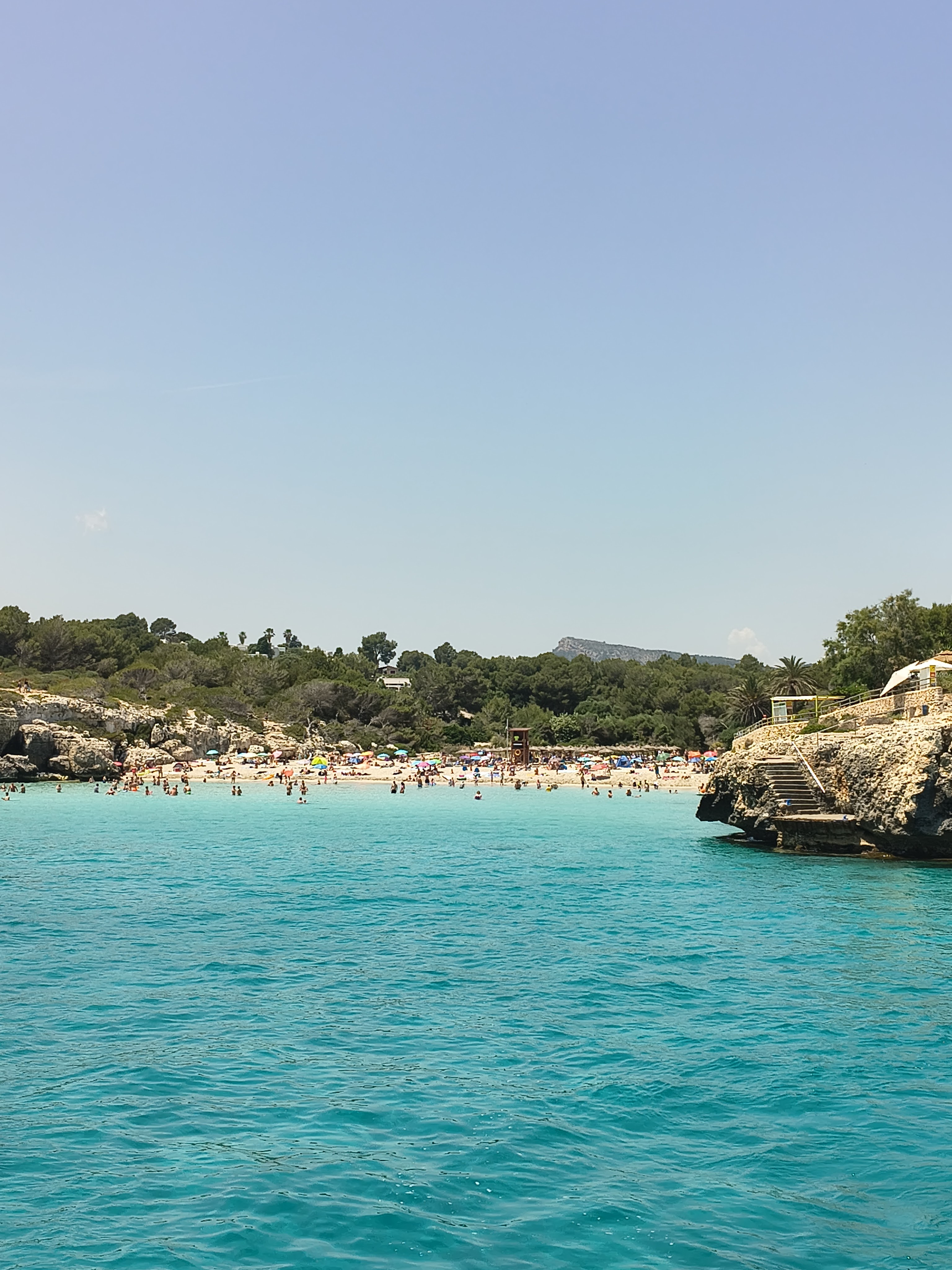 Whale Watching in Cala Bona photo 2