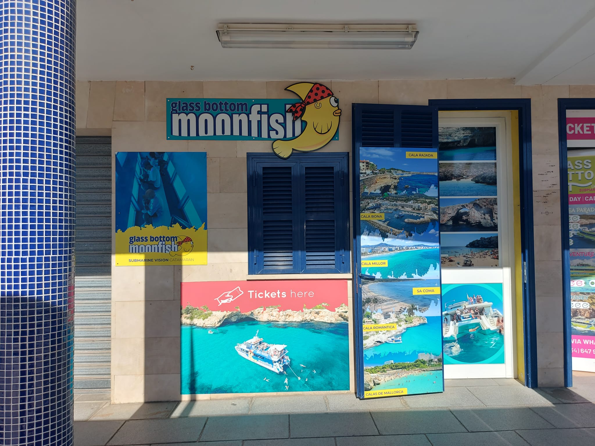 Whale Watching in Cala Bona photo 4