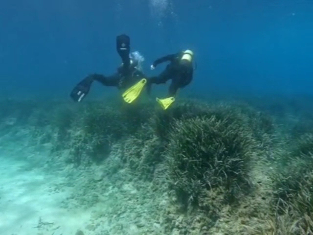 Diving & Snorkeling in Cala Major photo 3