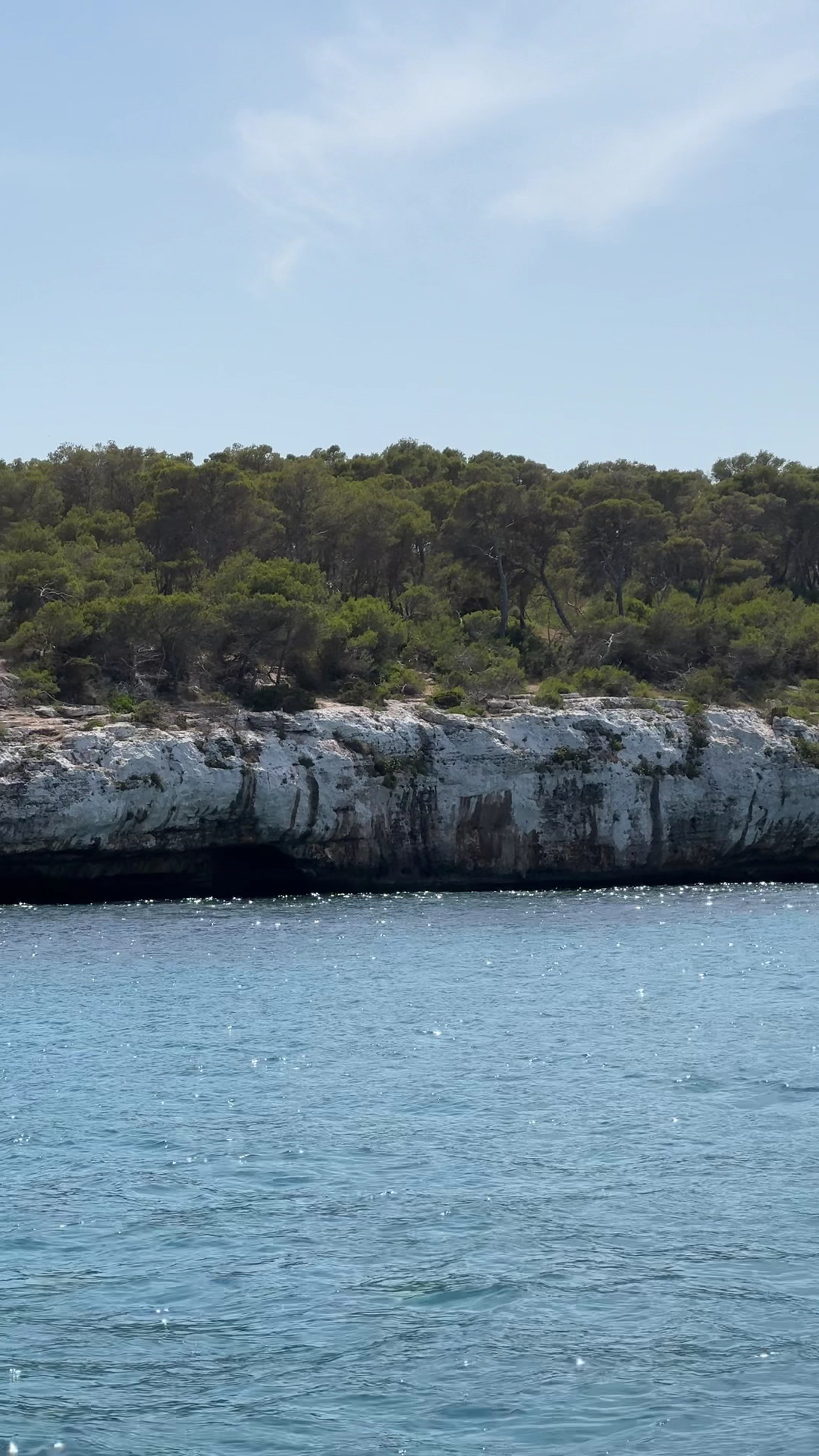 Whale Watching in Cala d'Or photo 3