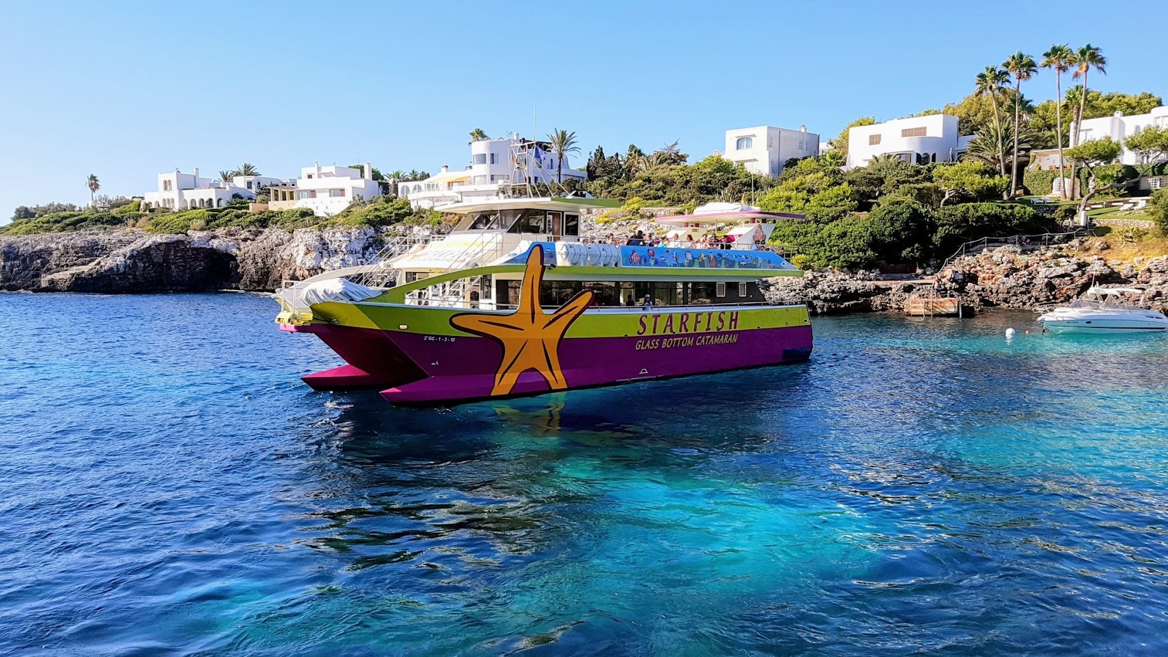 Whale Watching in Cala d'Or photo 4