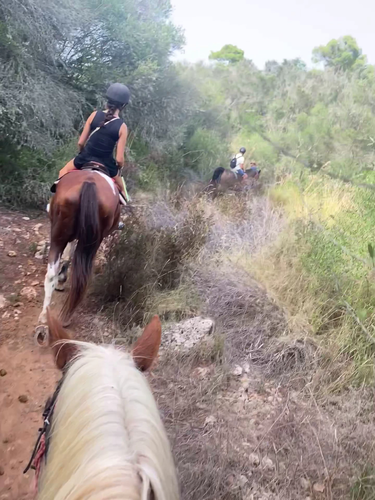 Horseback Riding in Cala Pi photo 3