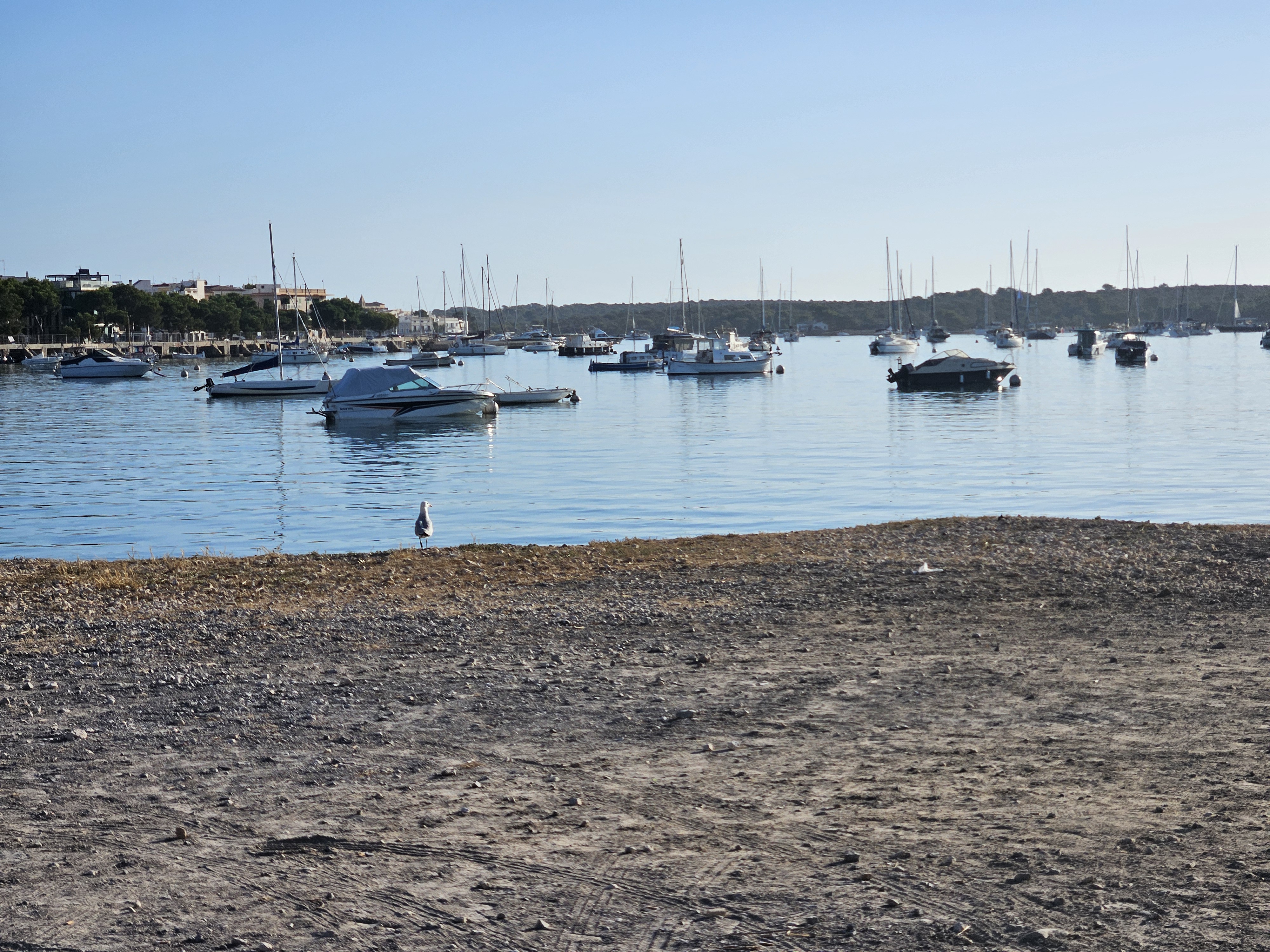 Hiking Tours in Cala d'Or photo 3