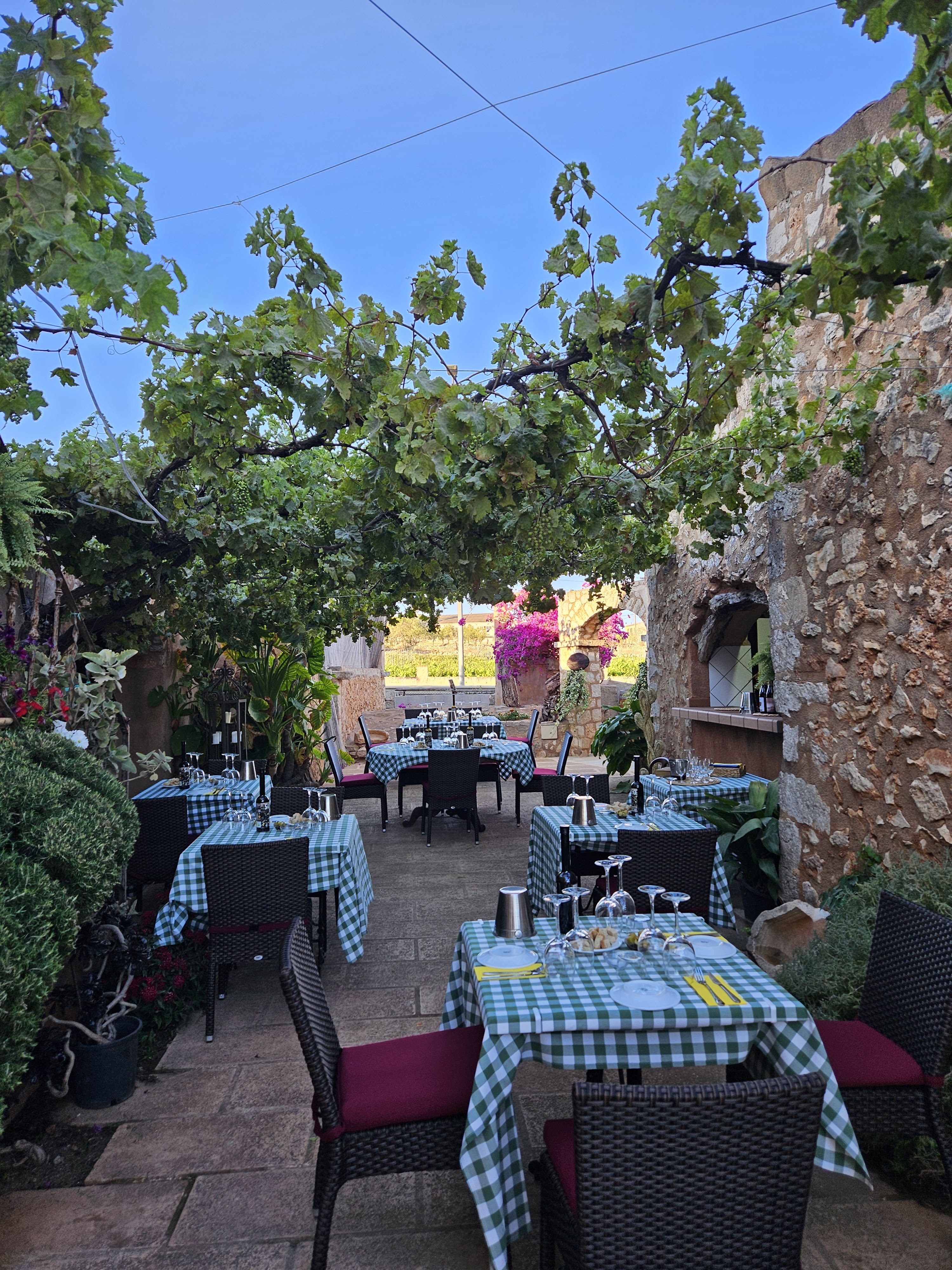 Wine Tasting in Cala d'Or photo 5