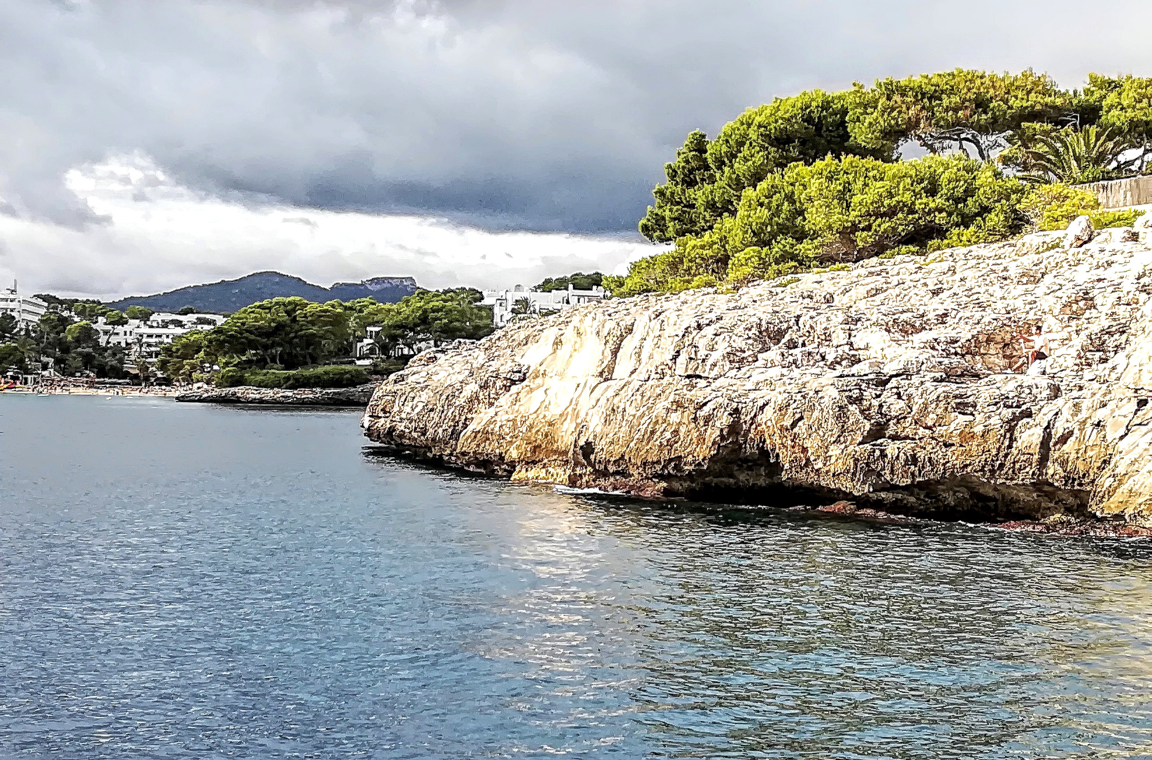 Dolphin Watching in Cala d'Or photo 5