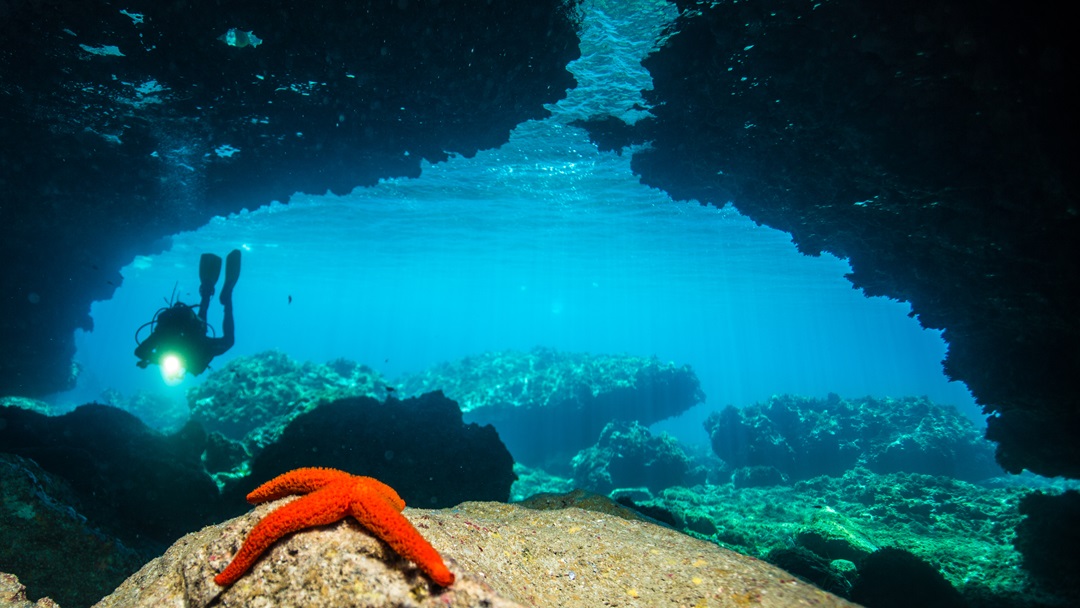 Freediving in Cala d'Or
